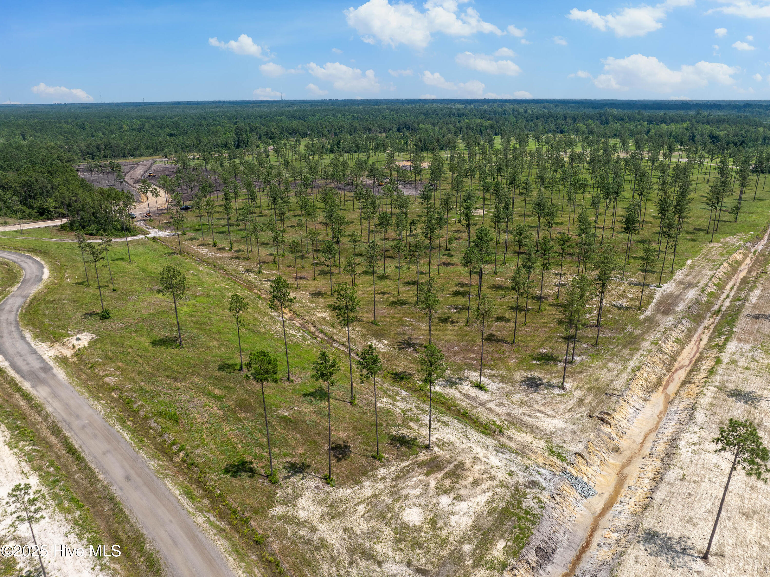 100520208 | Photo 22