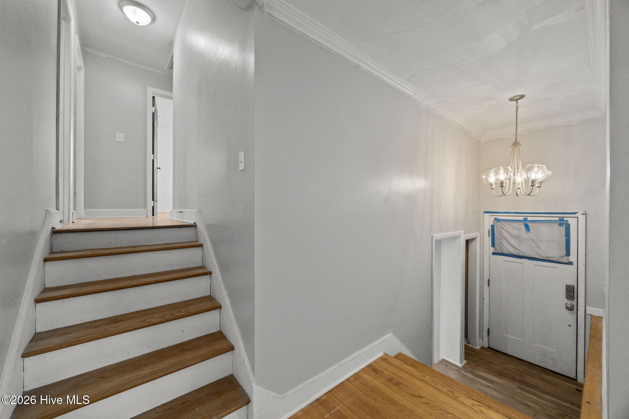 100555859 | Photo 11