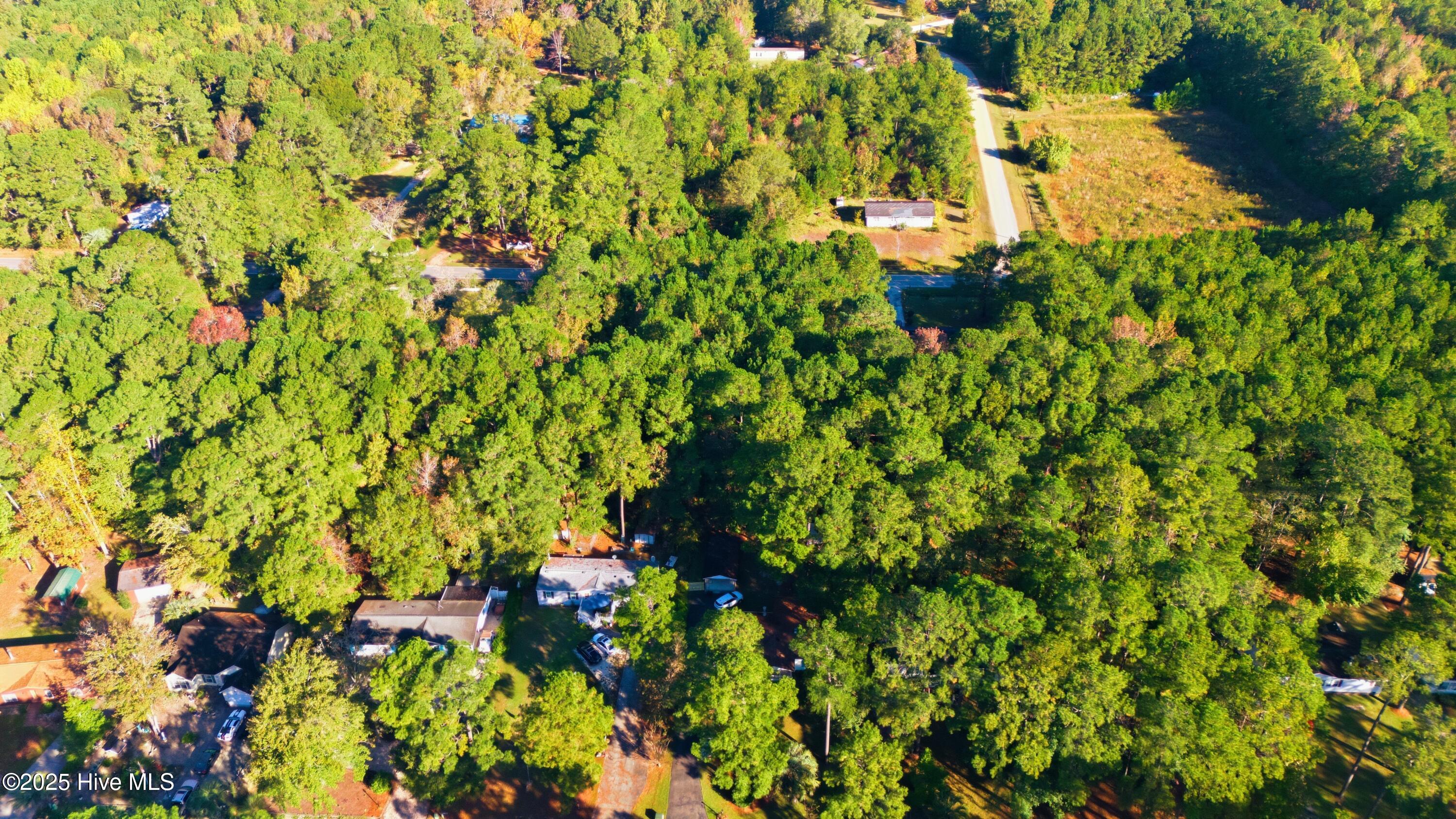 100538513 | Photo 18