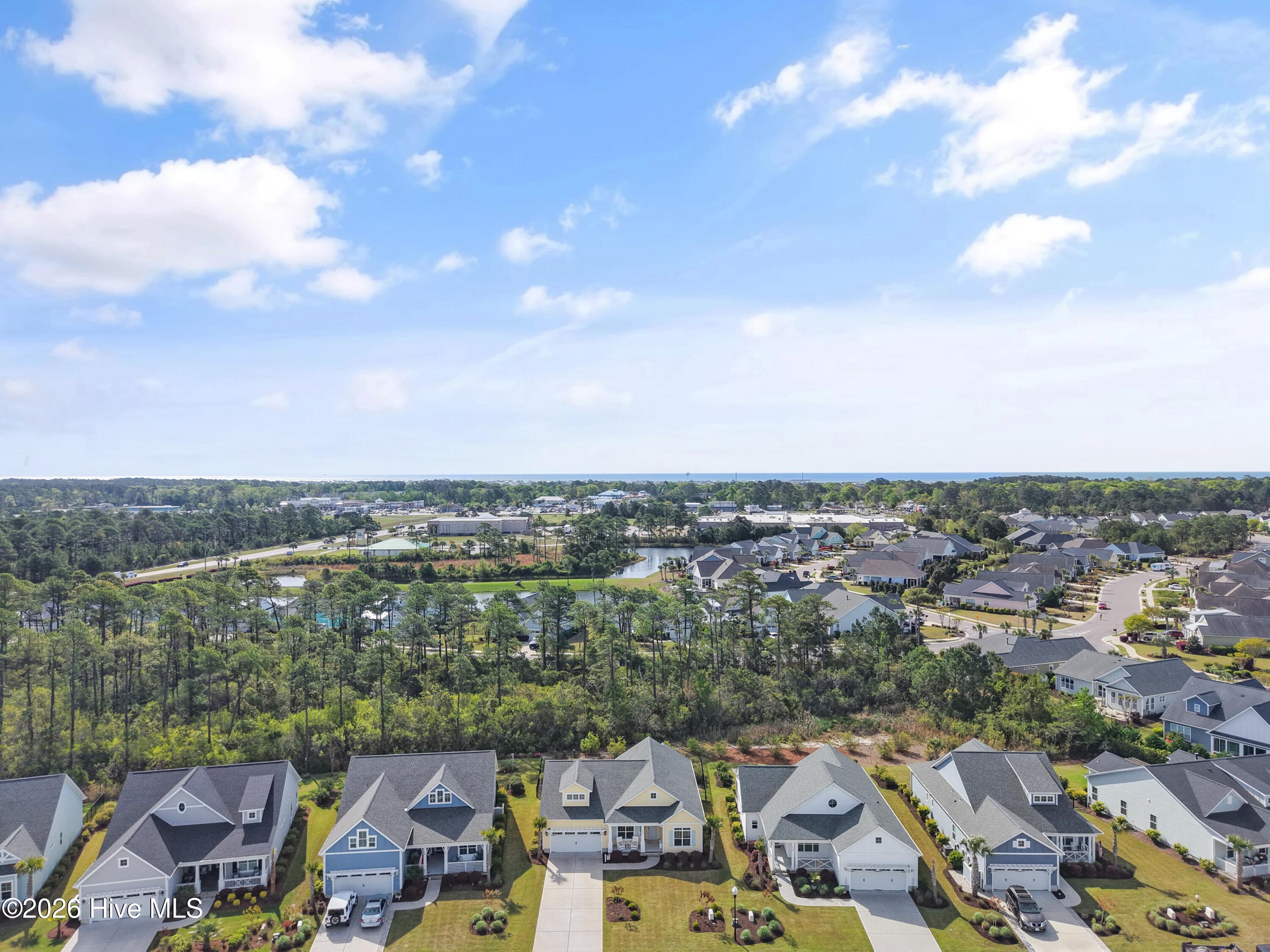 100566064 | Photo 63