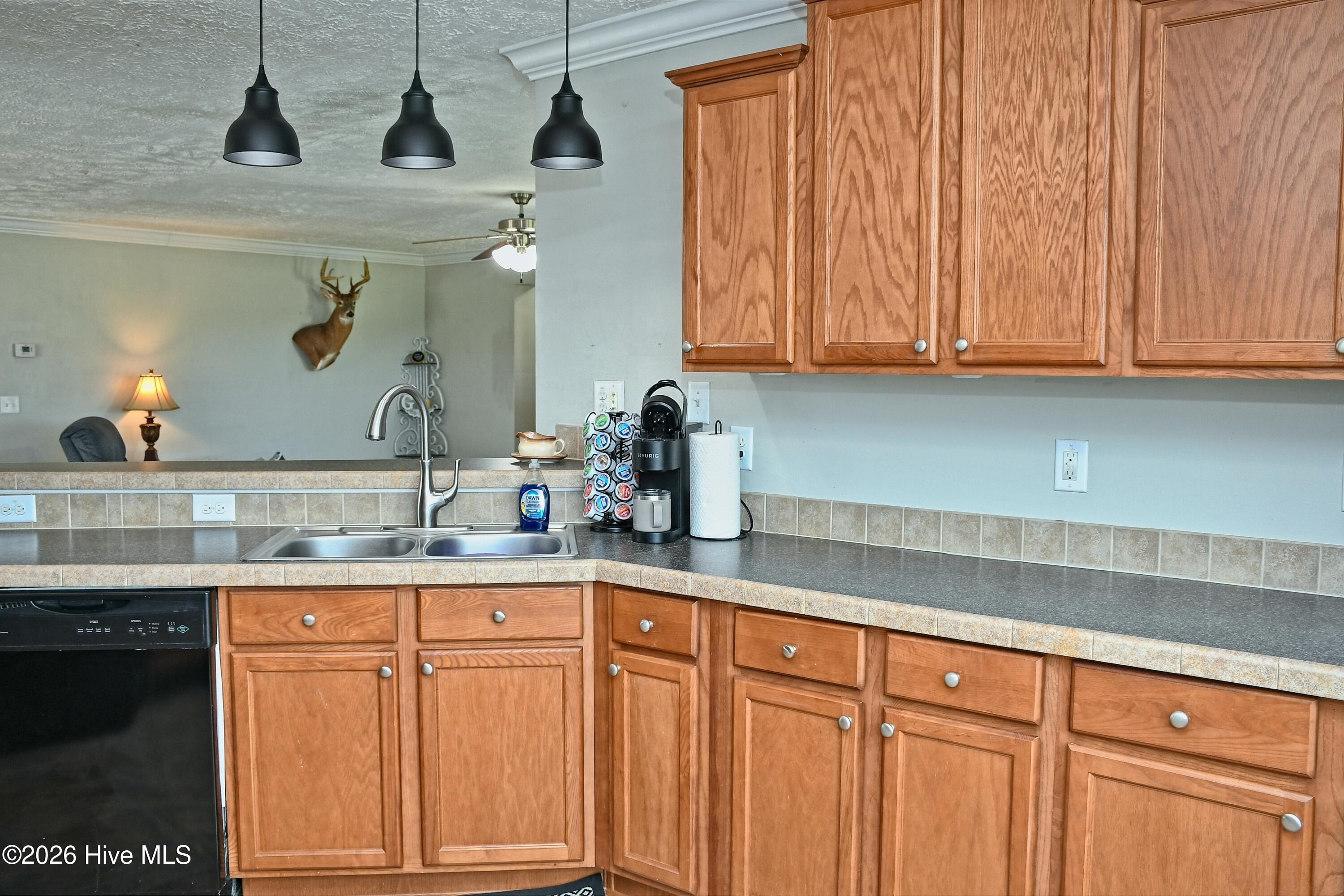 100565846 | Photo 17