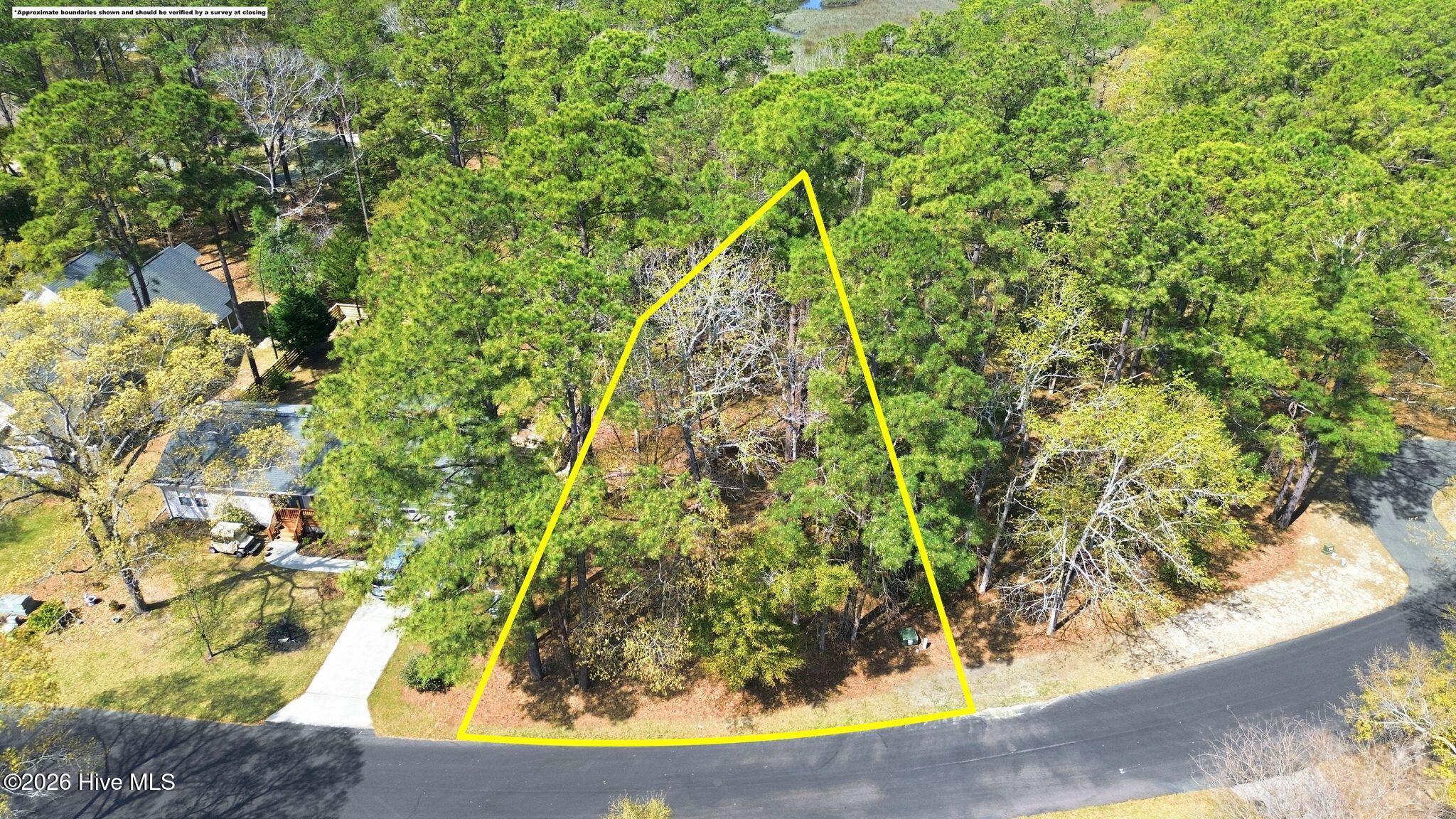 100563683 | Photo 12