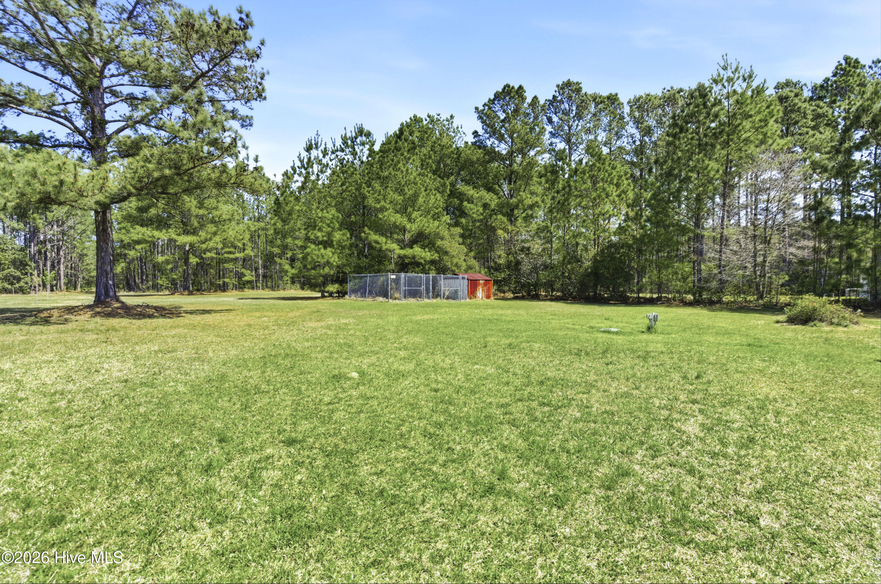 100565497 | Photo 11