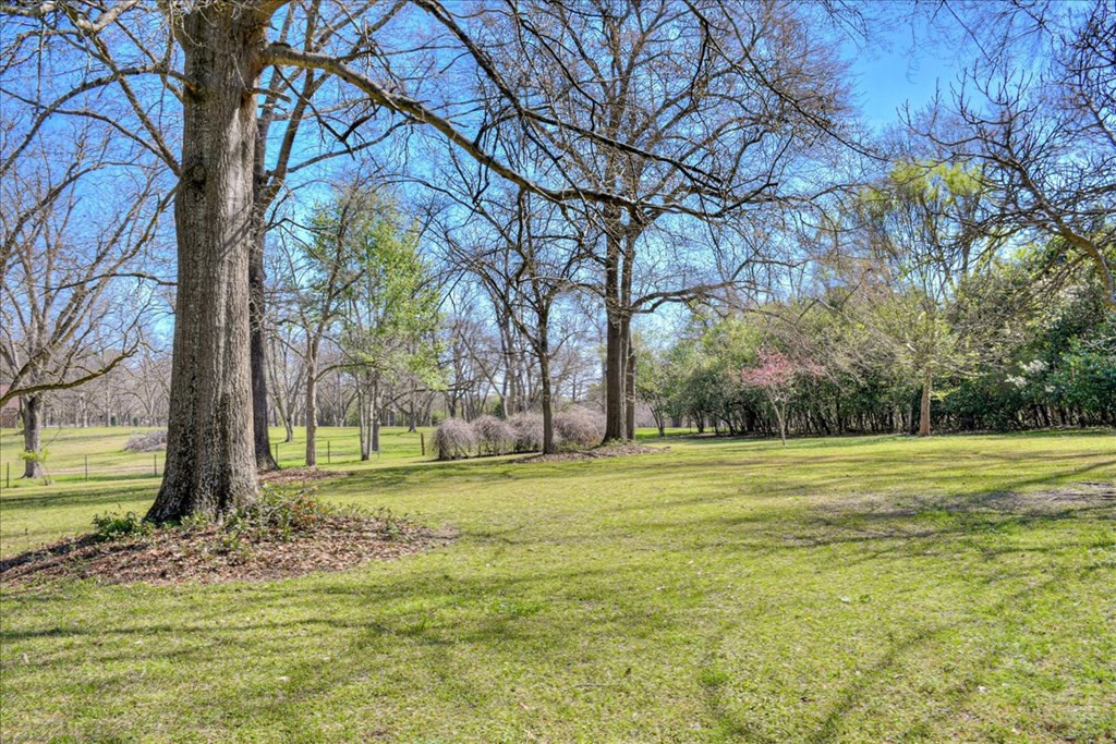 273 Barrett Plantation Lane, Waynesboro, GA 30830 Listing Photo  54