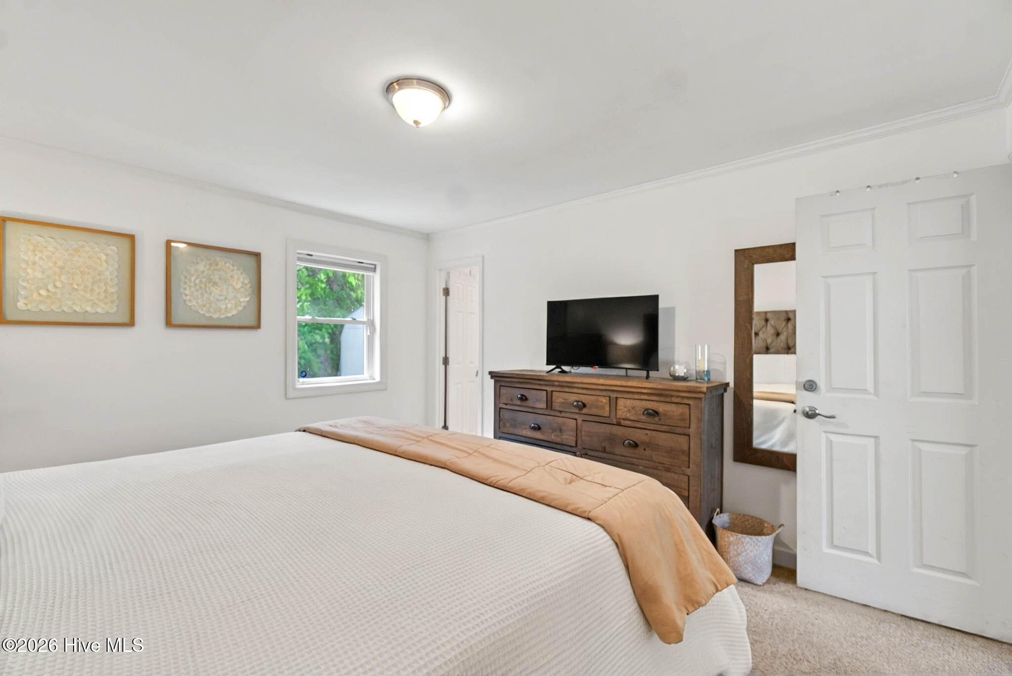 100556049 | Photo 50