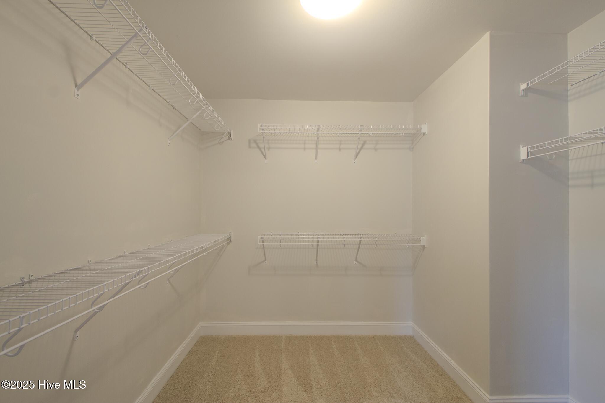 100543314 | Photo 20