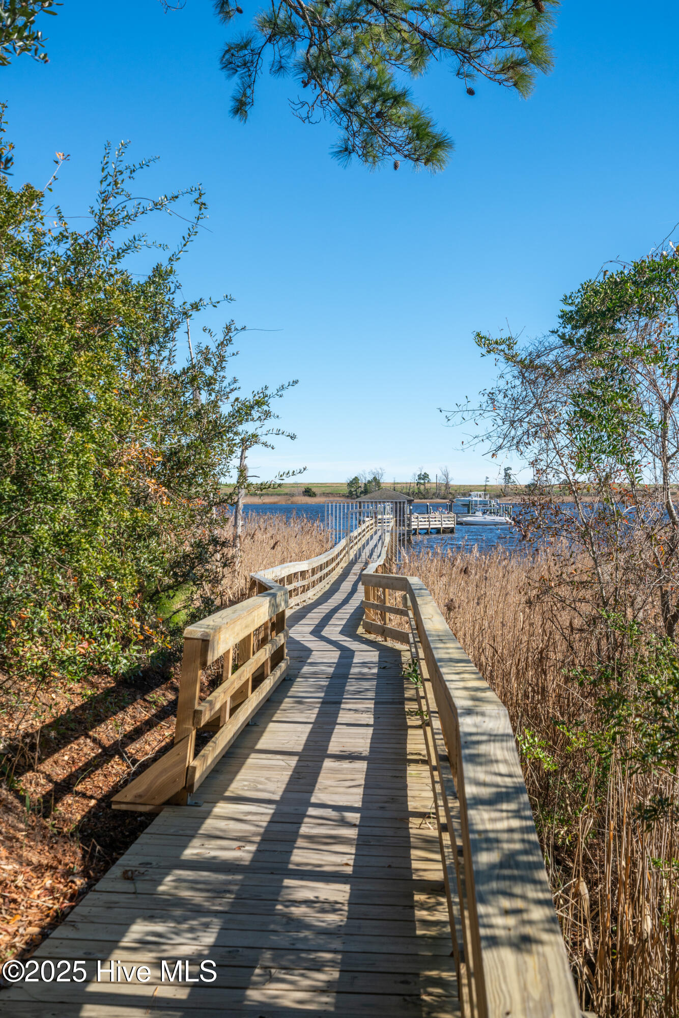 100546678 | Photo 14