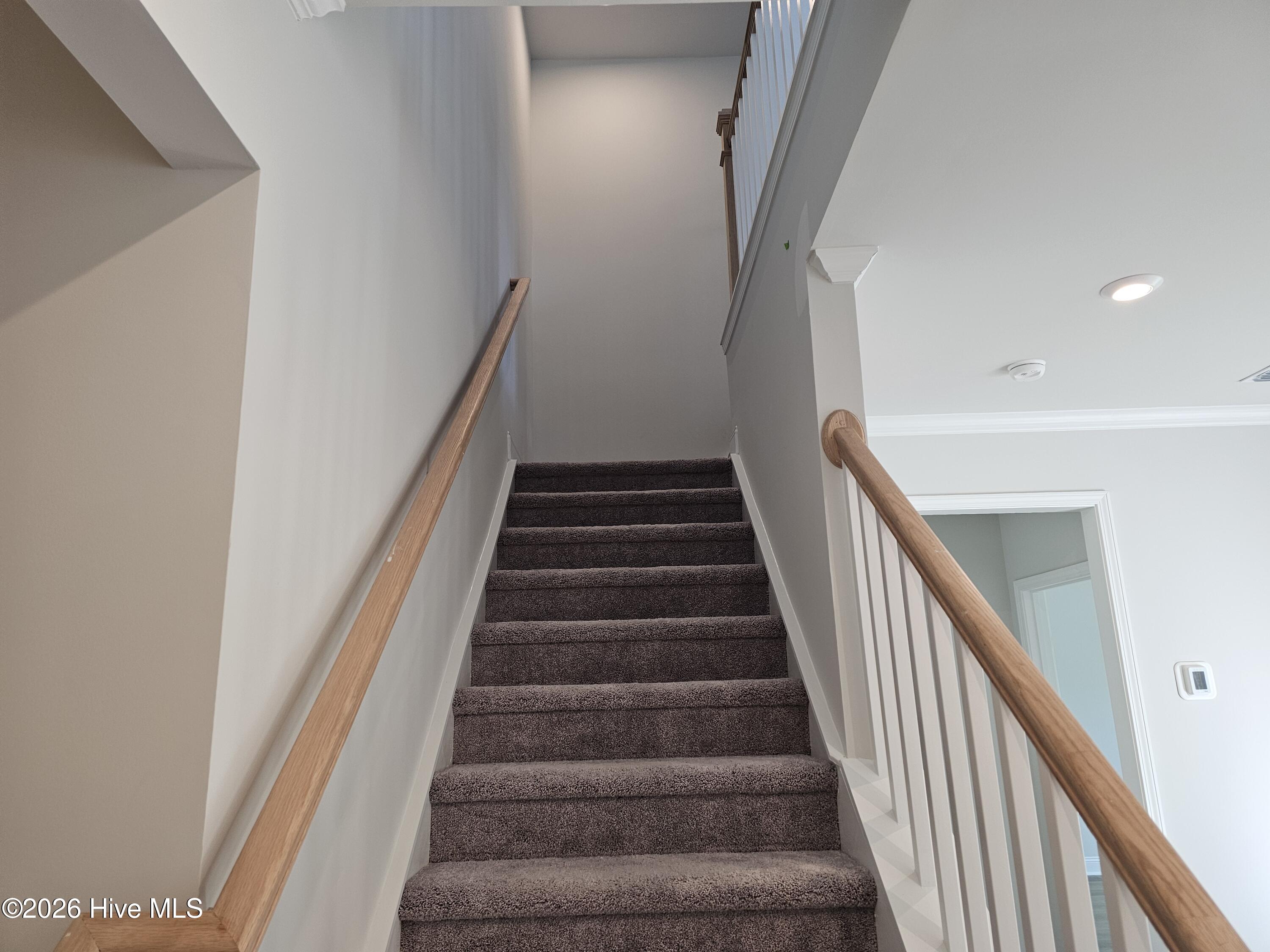 100540603 | Photo 18