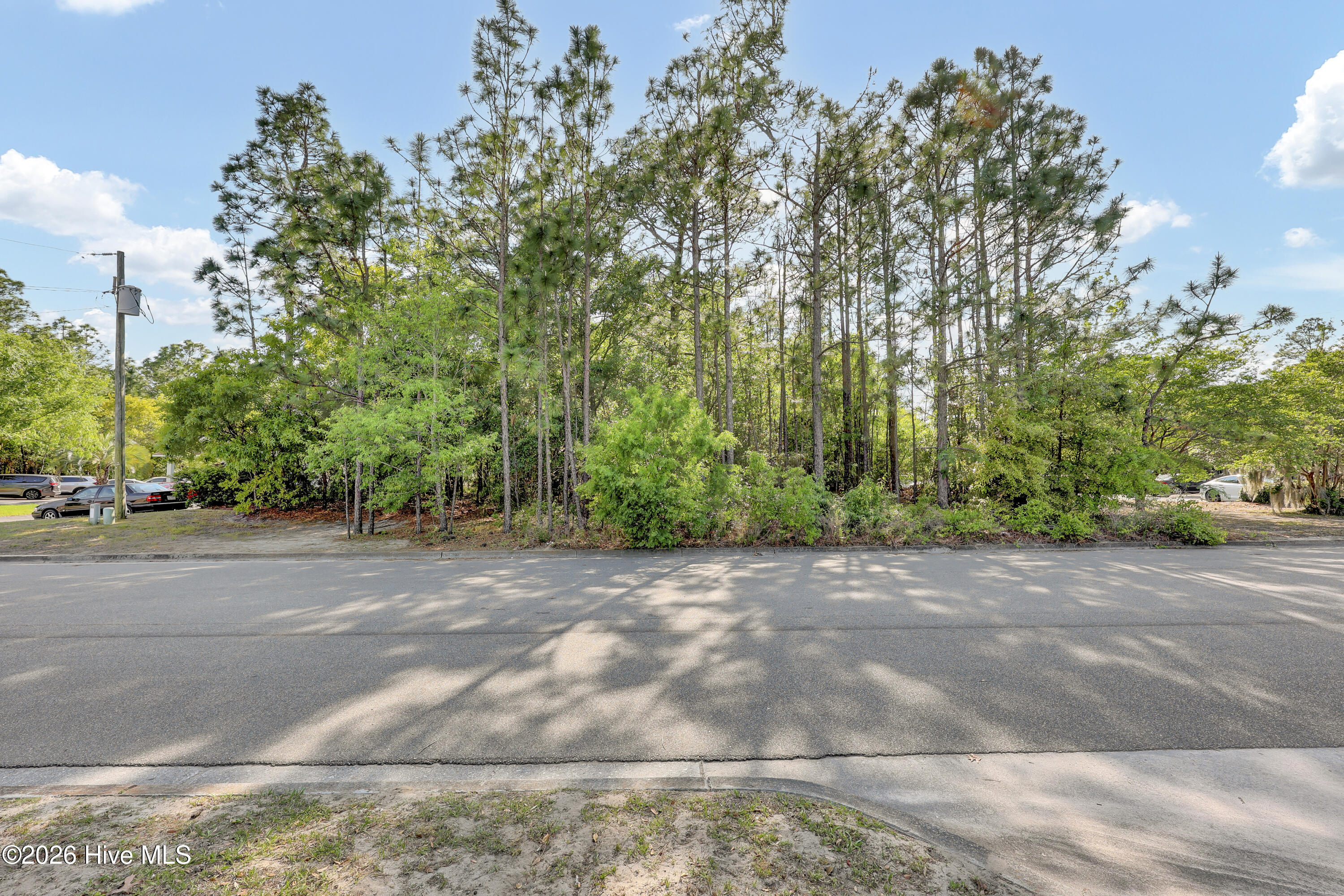 100567472 | Photo 19