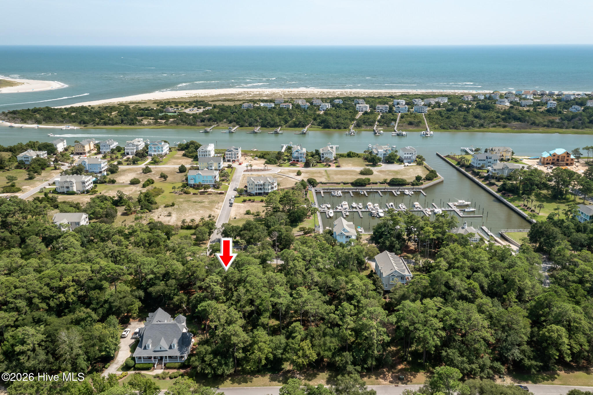 100559457 | Photo 14