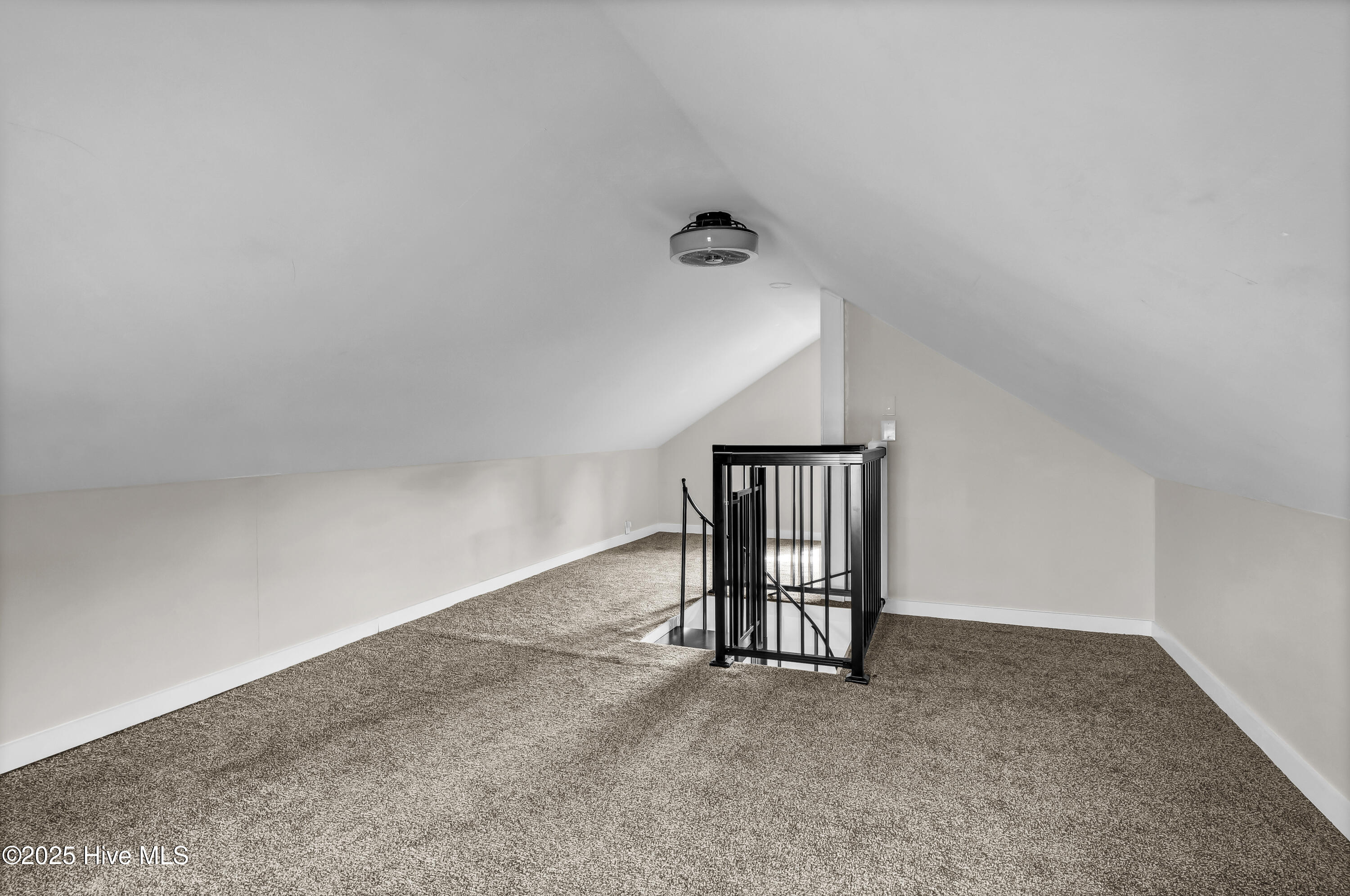 100556721 | Photo 24