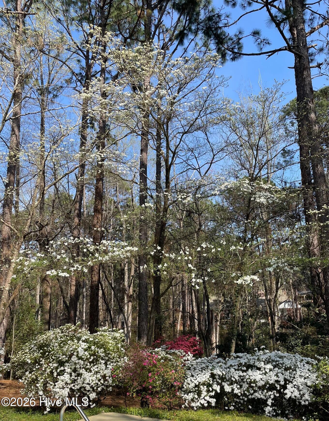 Homes for sale in Southern Pines, NC | 957 Sandavis Rd, Southern Pines, NC 28387 | MLS# 100561462