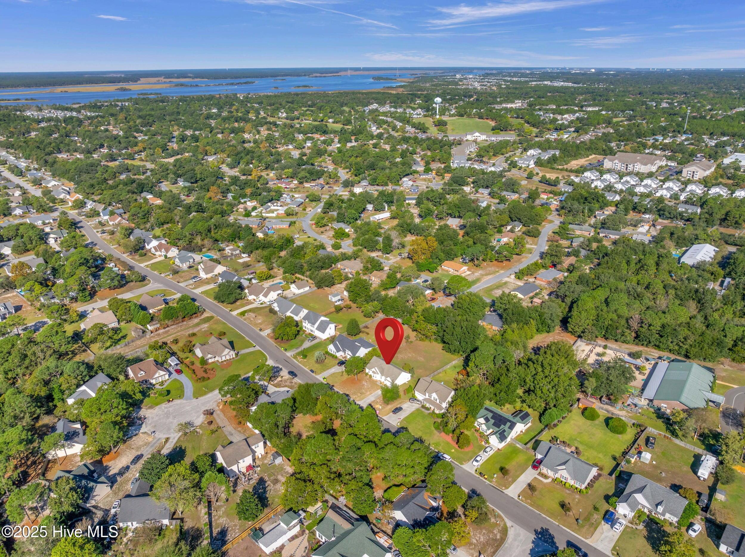 100536946 | Photo 38