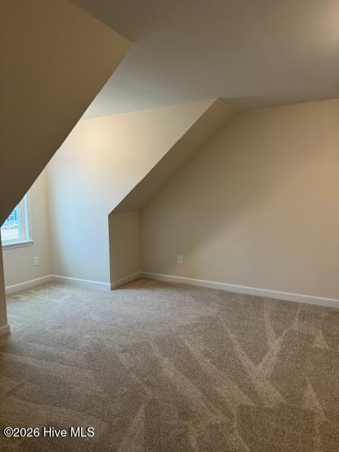 100523554 | Photo 25