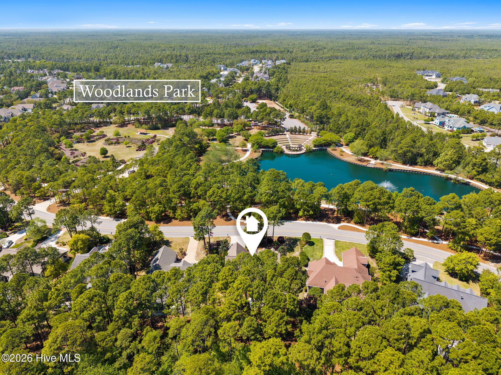 100567899 | Photo 13