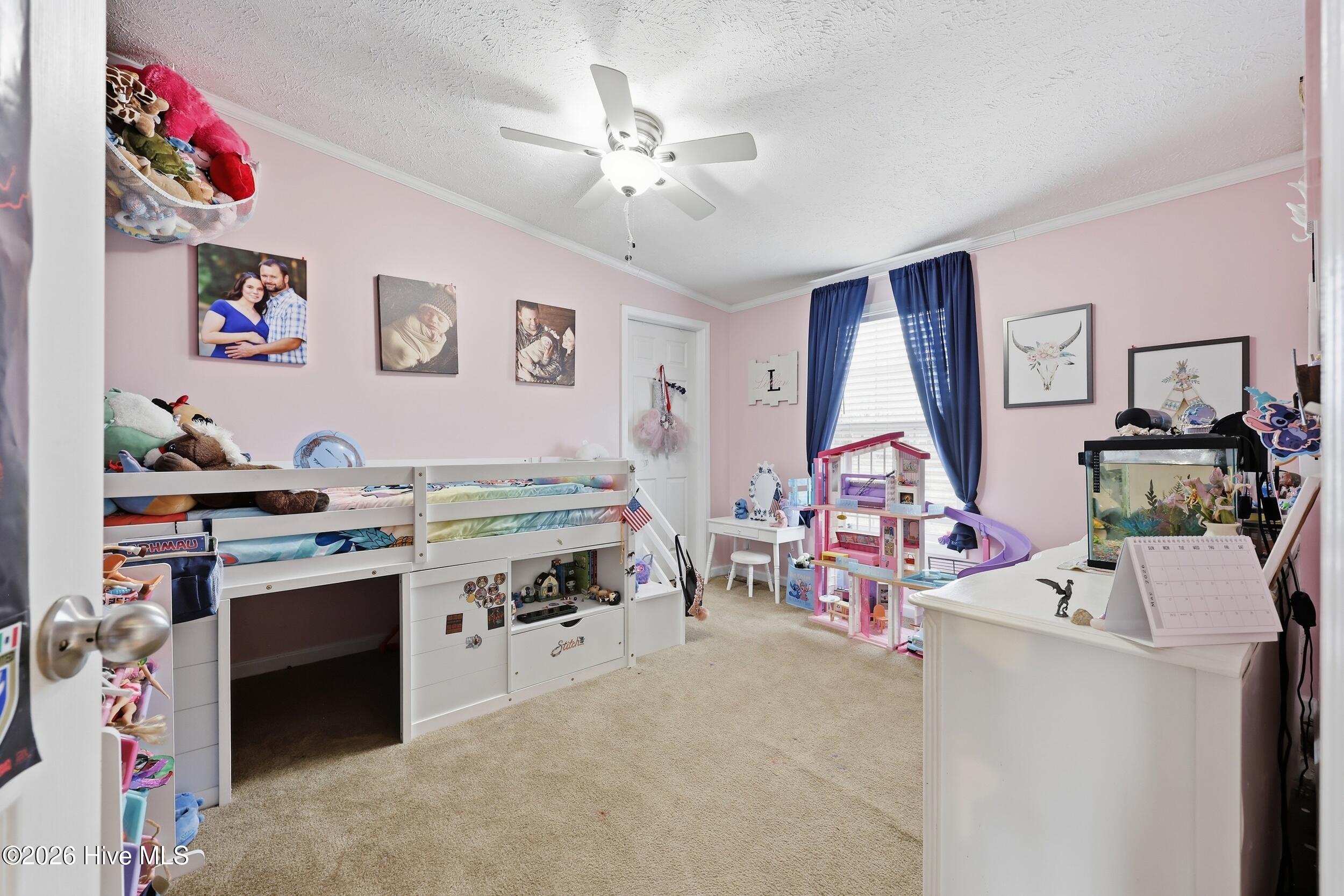 104 Strawberry Acres Drive, Elizabeth City, NC, 27909 104 Strawberry Acres Drive, Elizabeth City, NC, 27909