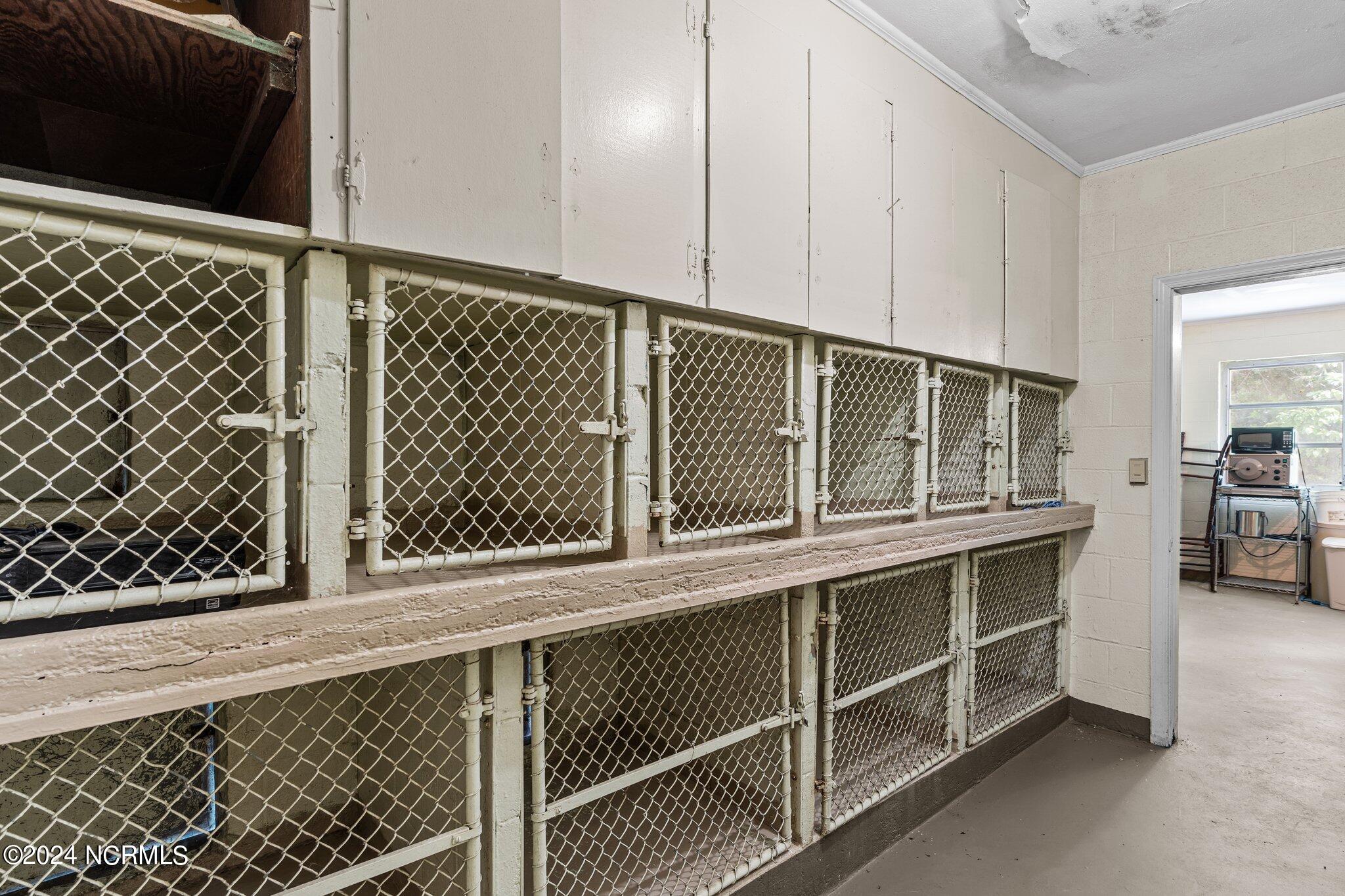 100517313 | Photo 32