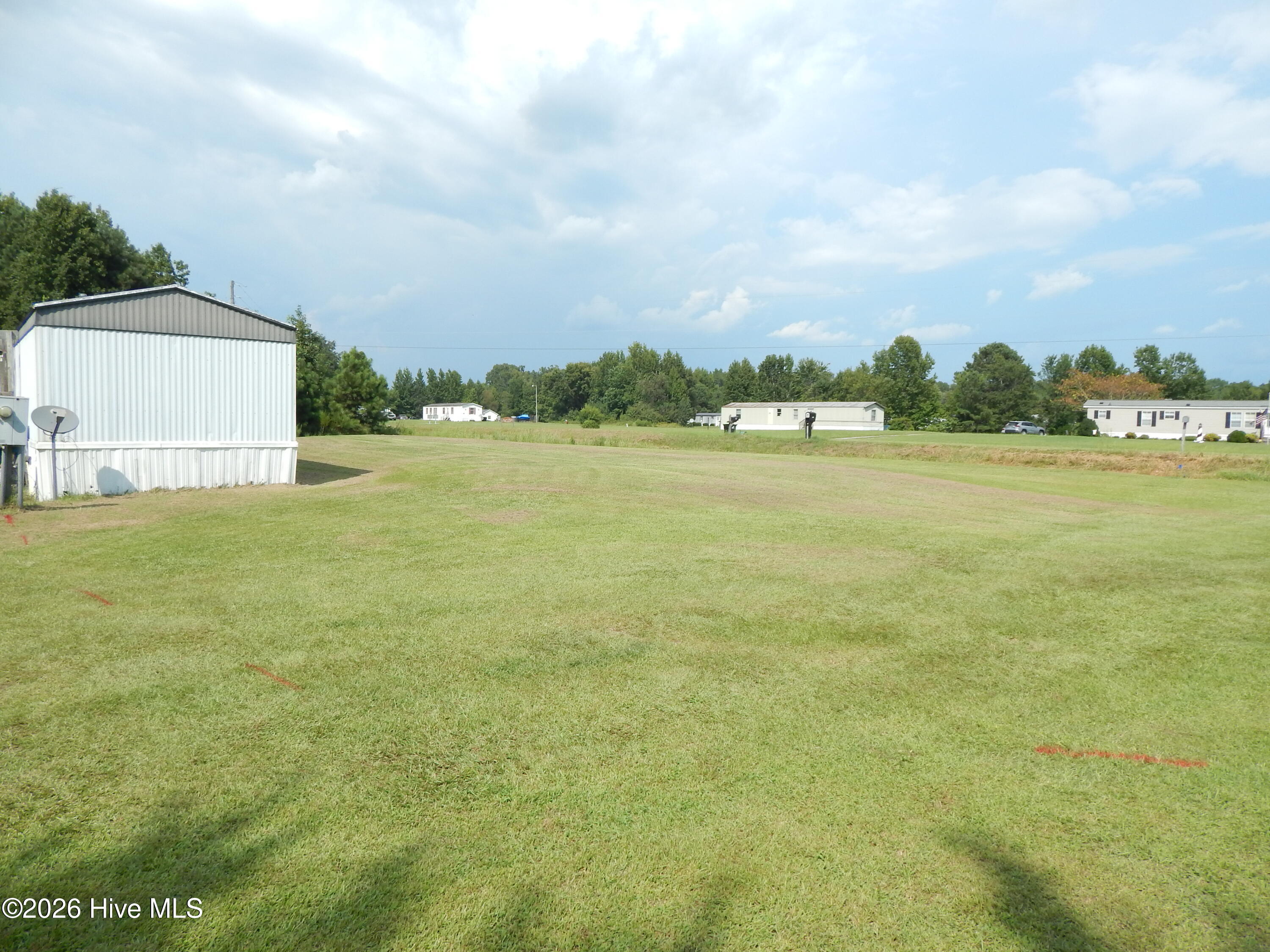 100600797 | Photo 2