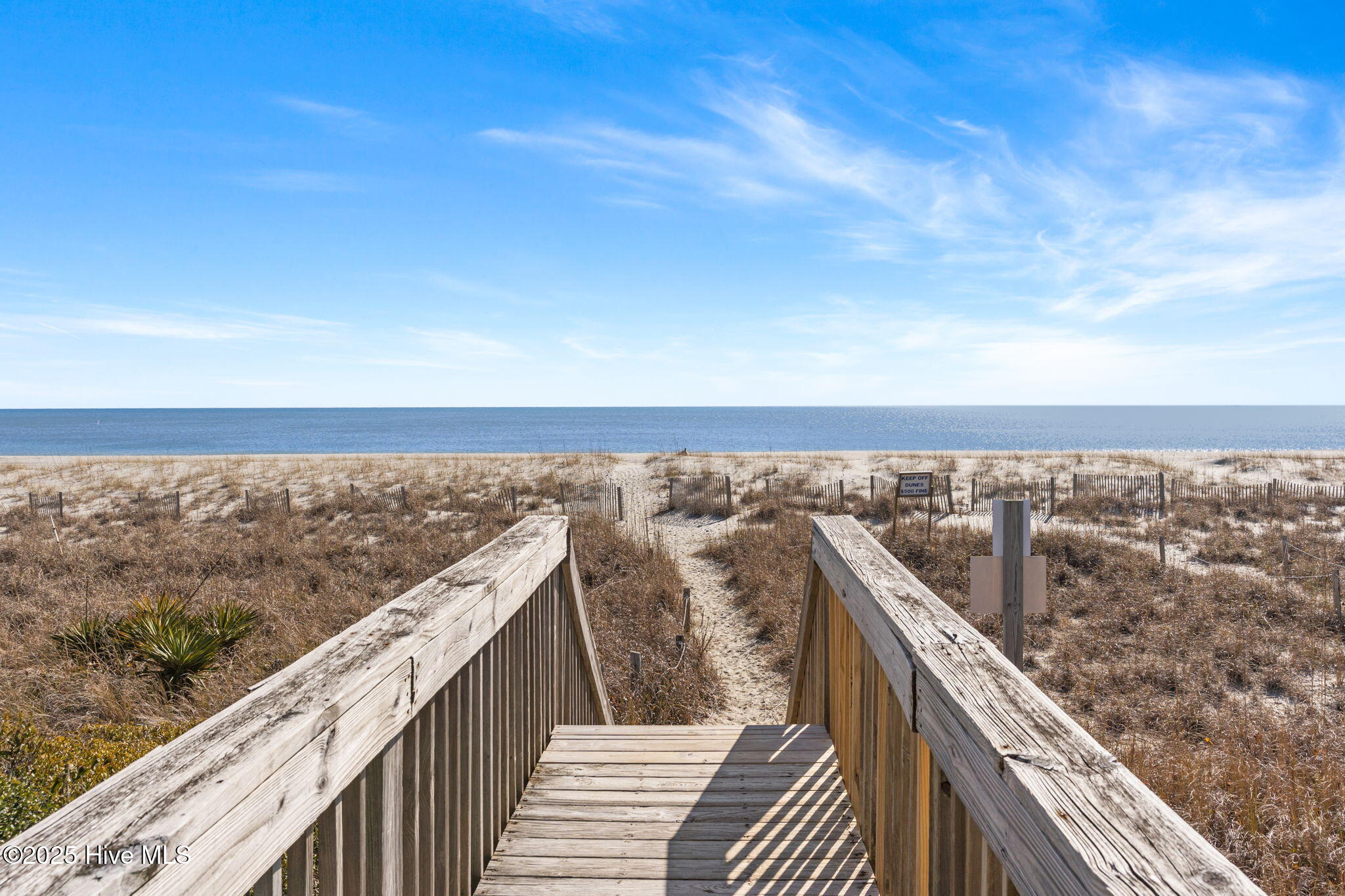 100544859 | Photo 69