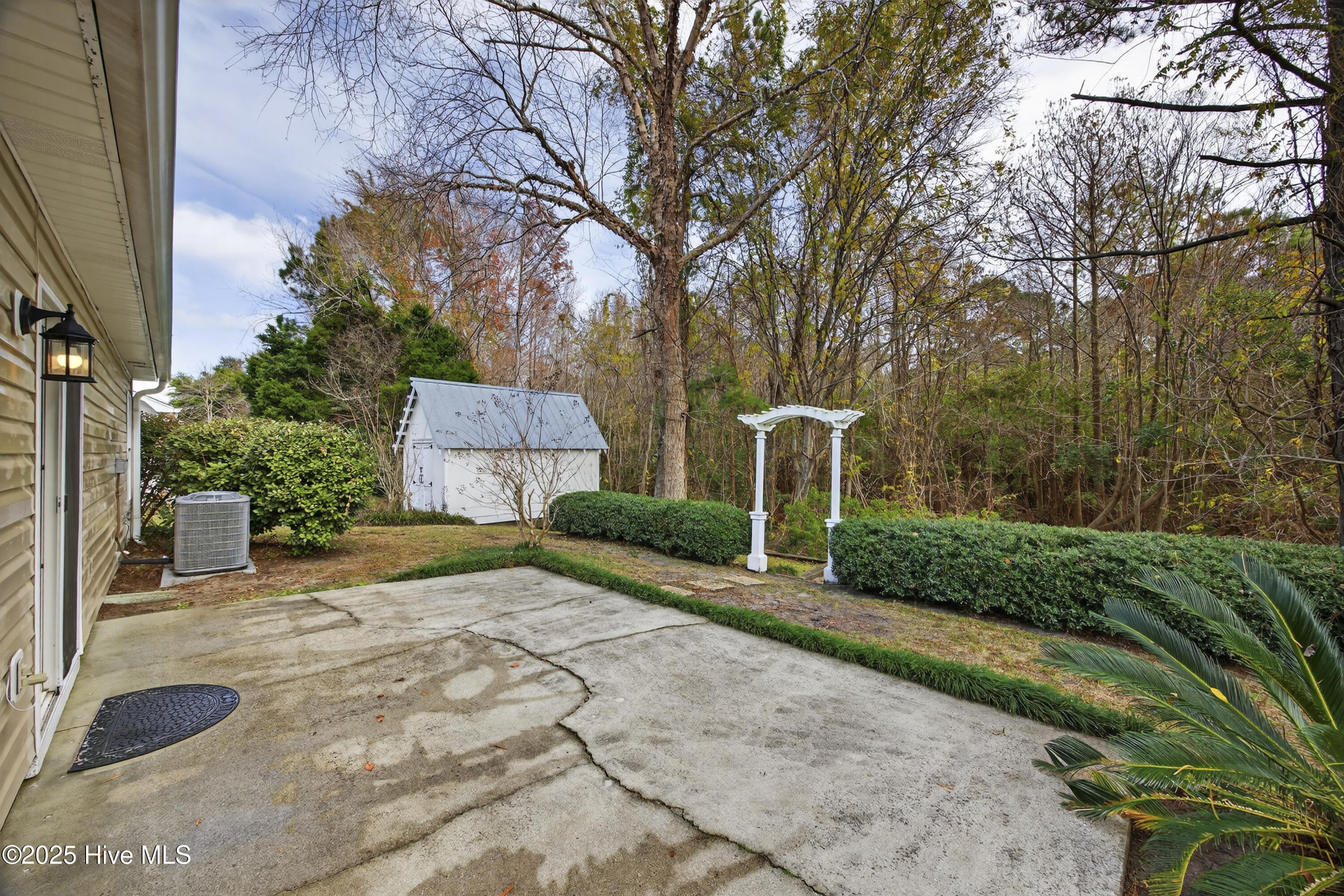 100558907 | Photo 19