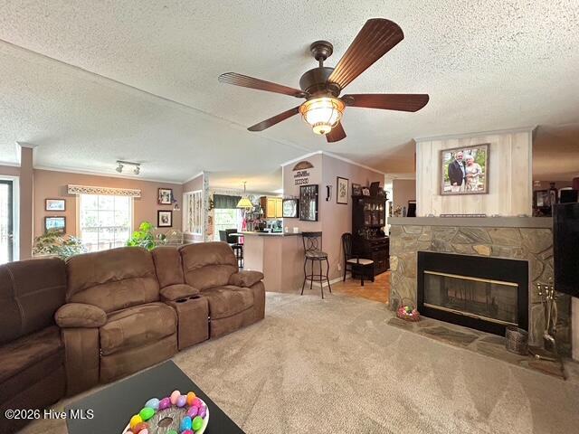 100566420 | Photo 45