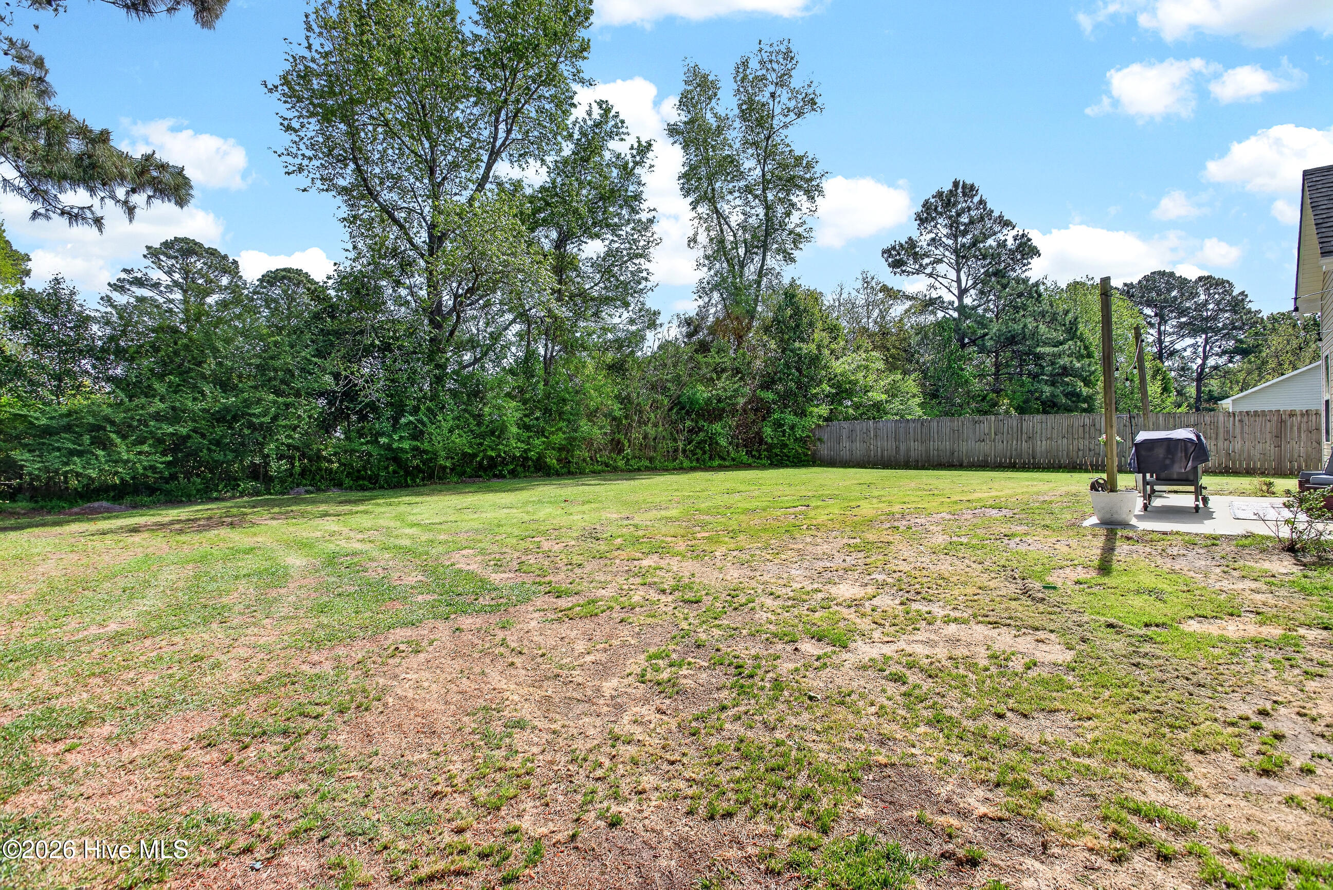 100566078 | Photo 28