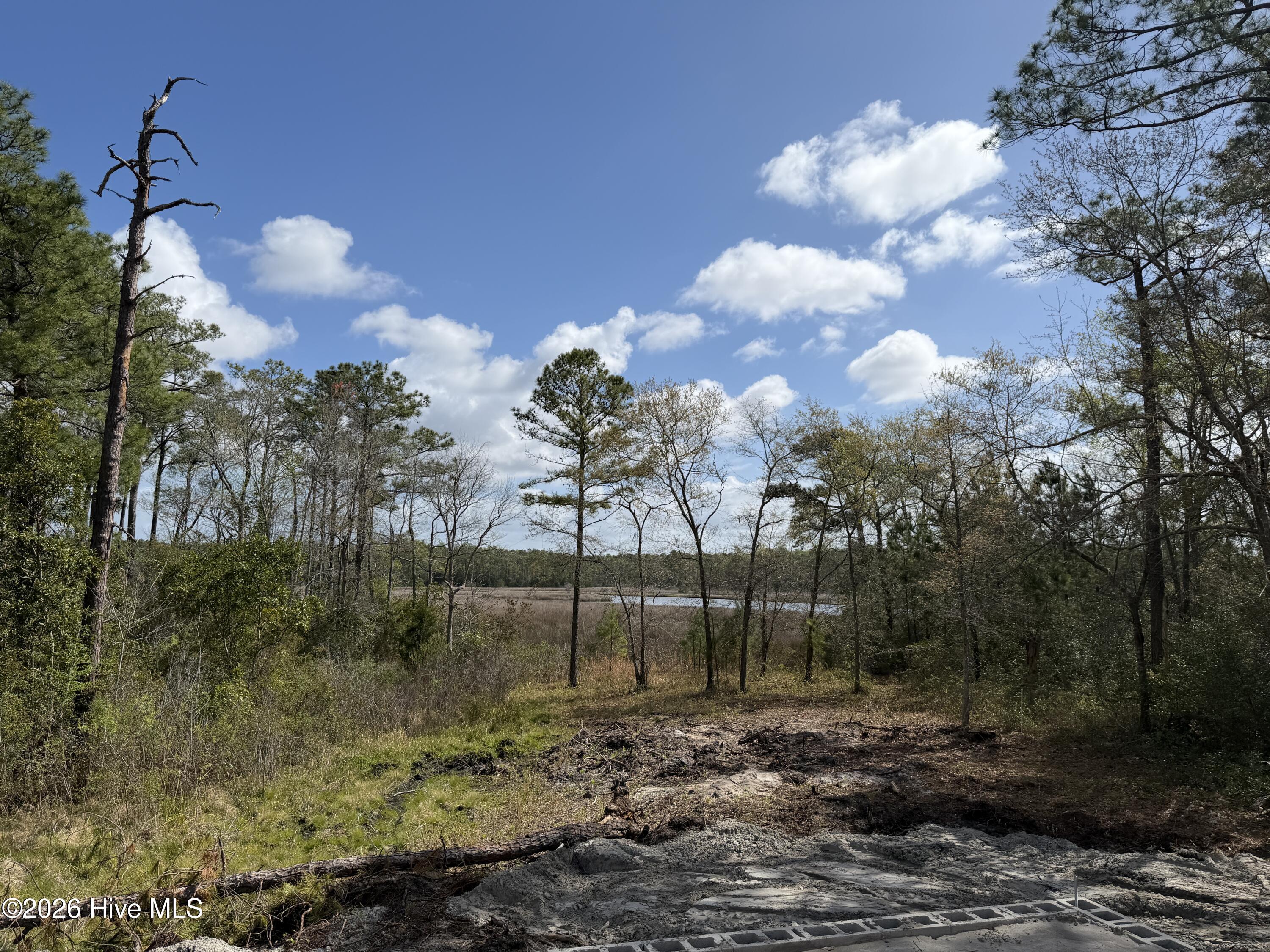 100567956 | Photo 10