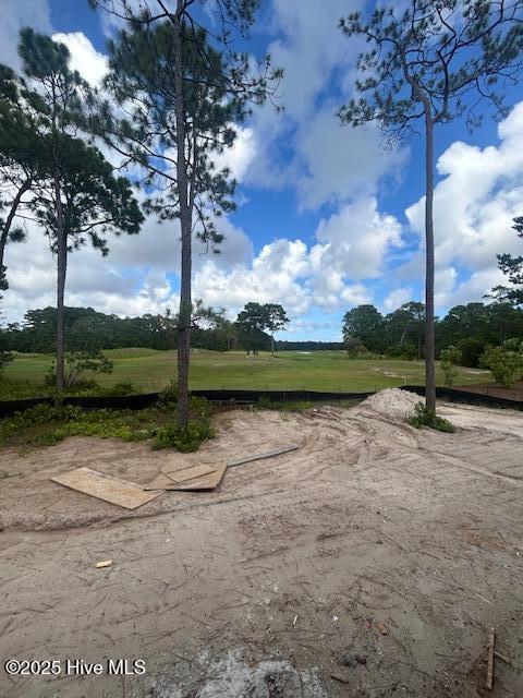 100495669 | Photo 16