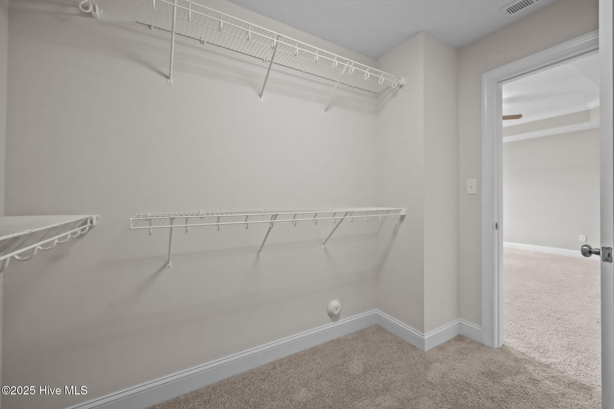 100516822 | Photo 16