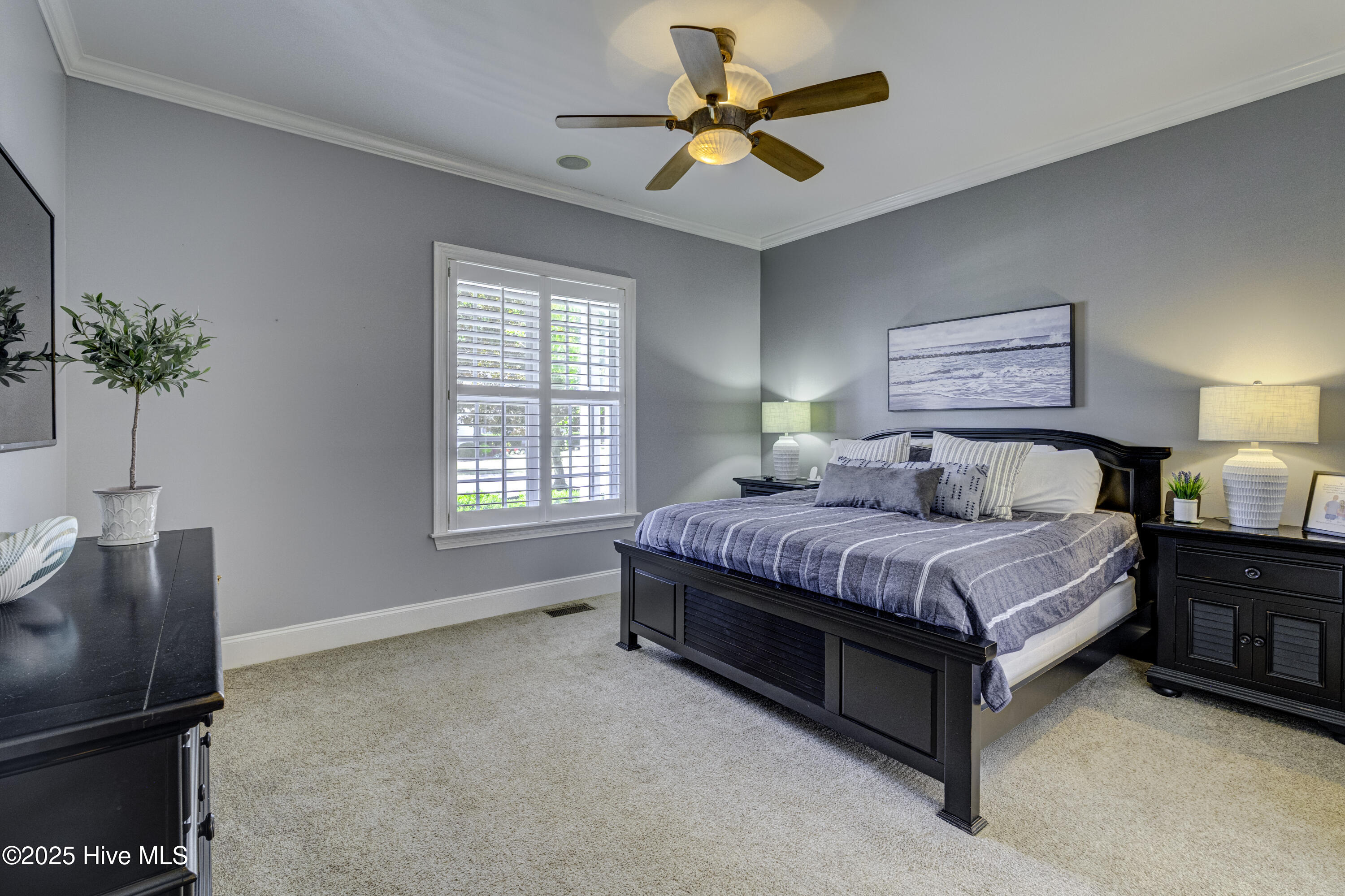 100535158 | Photo 34