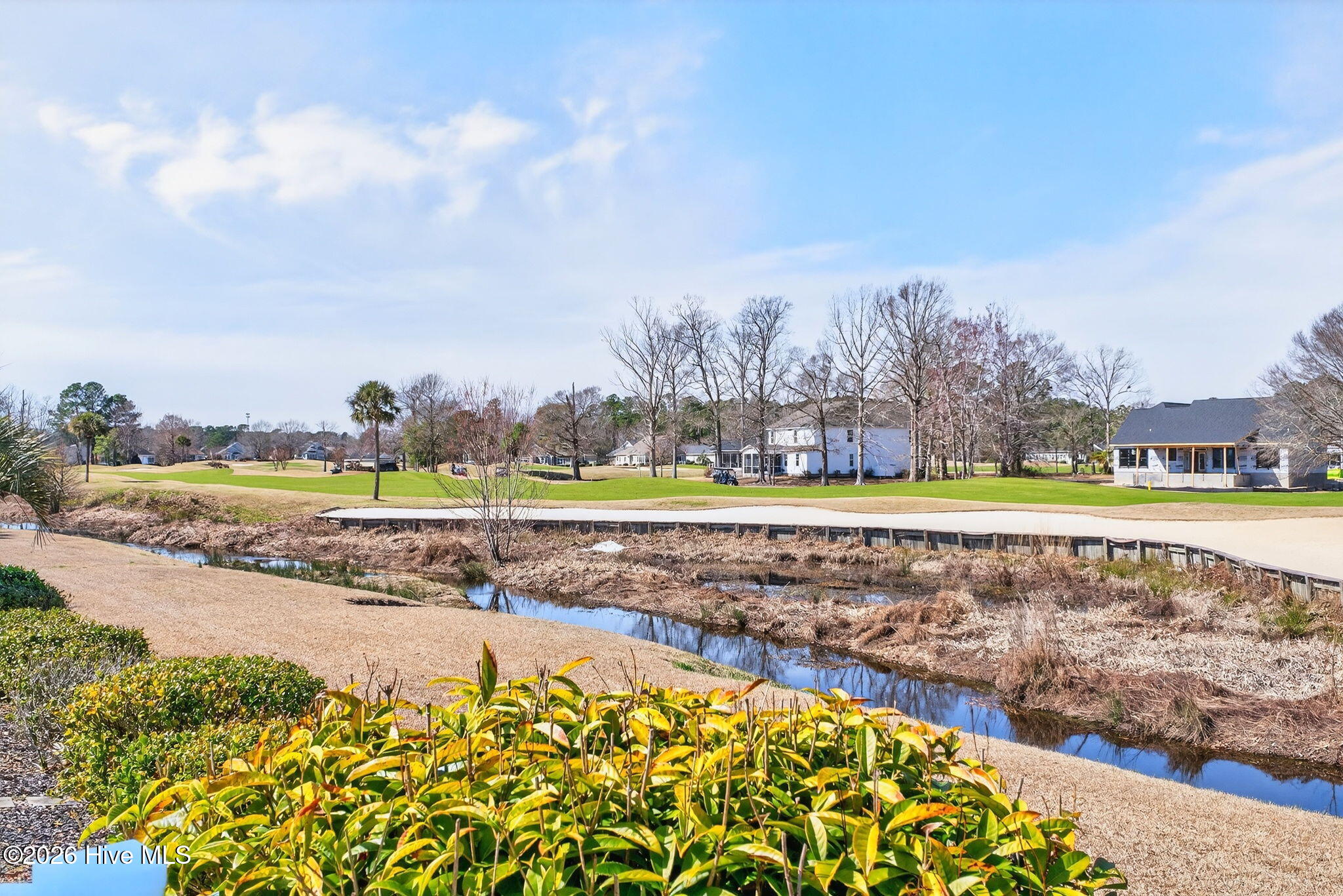 100557579 | Photo 44