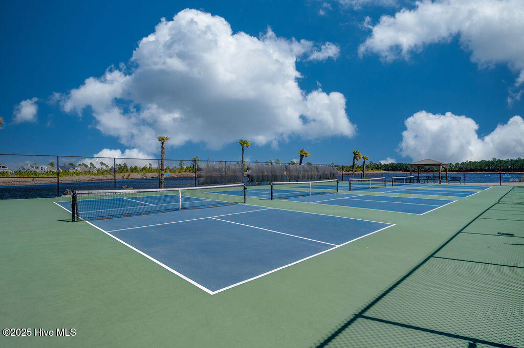 100529139 | Photo 51