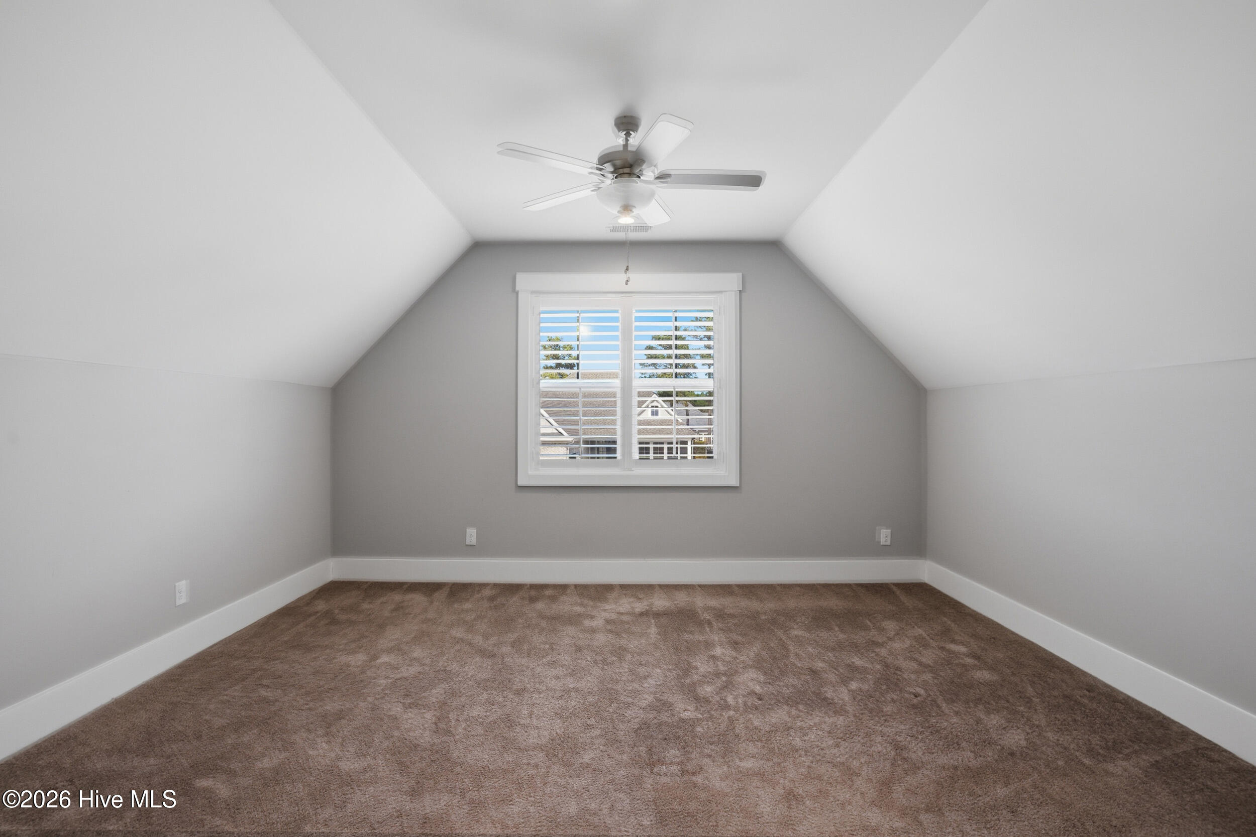 100561233 | Photo 36