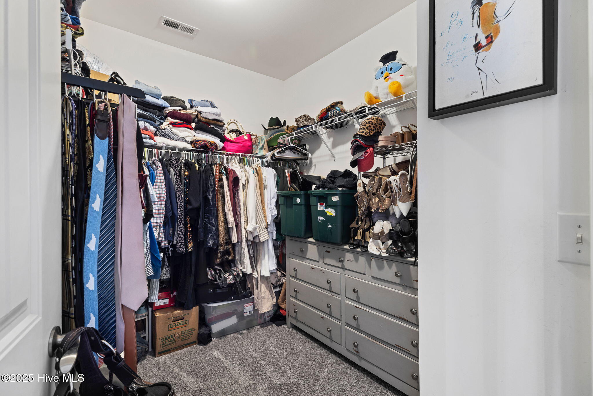 100542385 | Photo 30