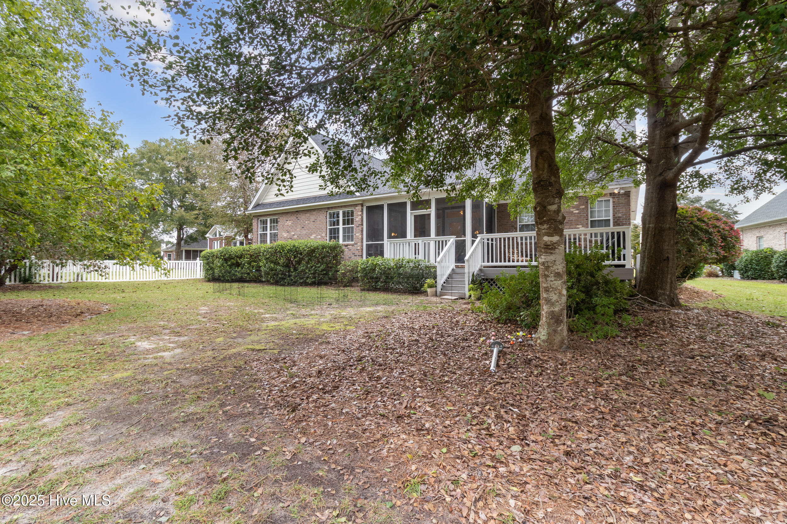 100536659 | Photo 42