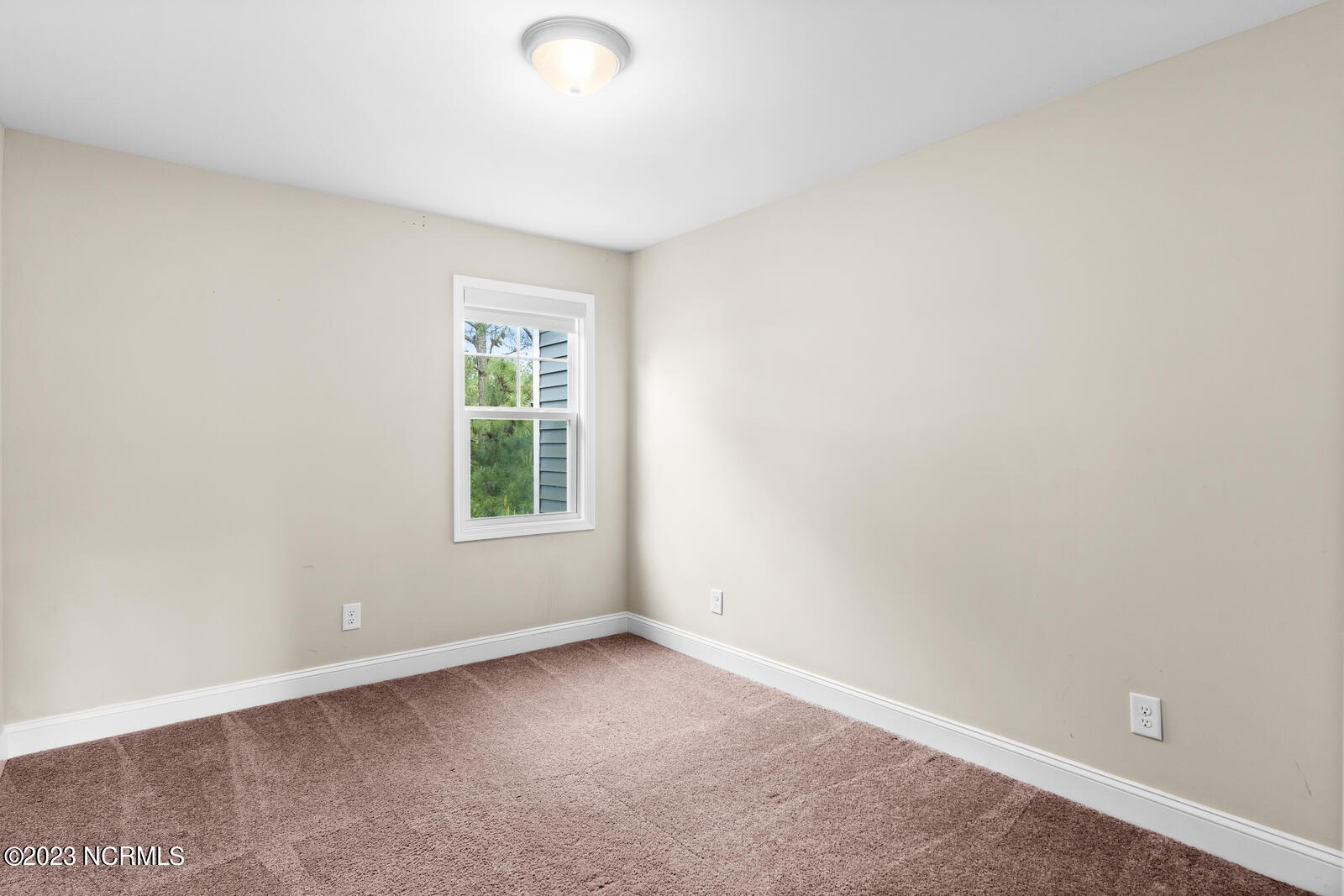 100552237 | Photo 20