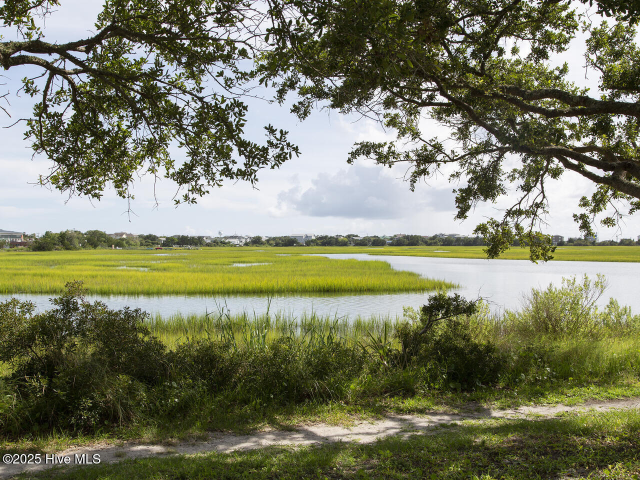 100529363 | Photo 45