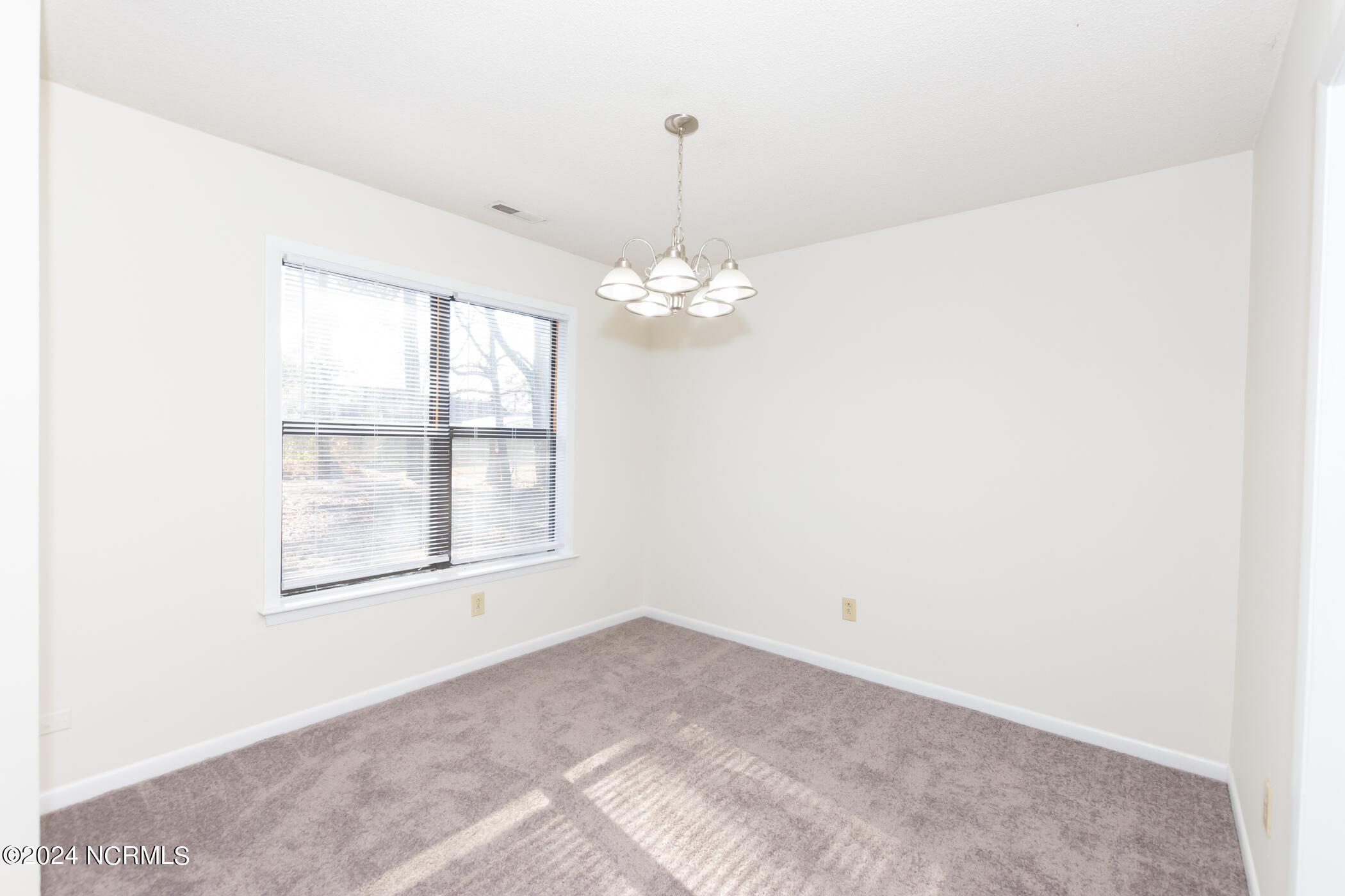 100528629 | Photo 17