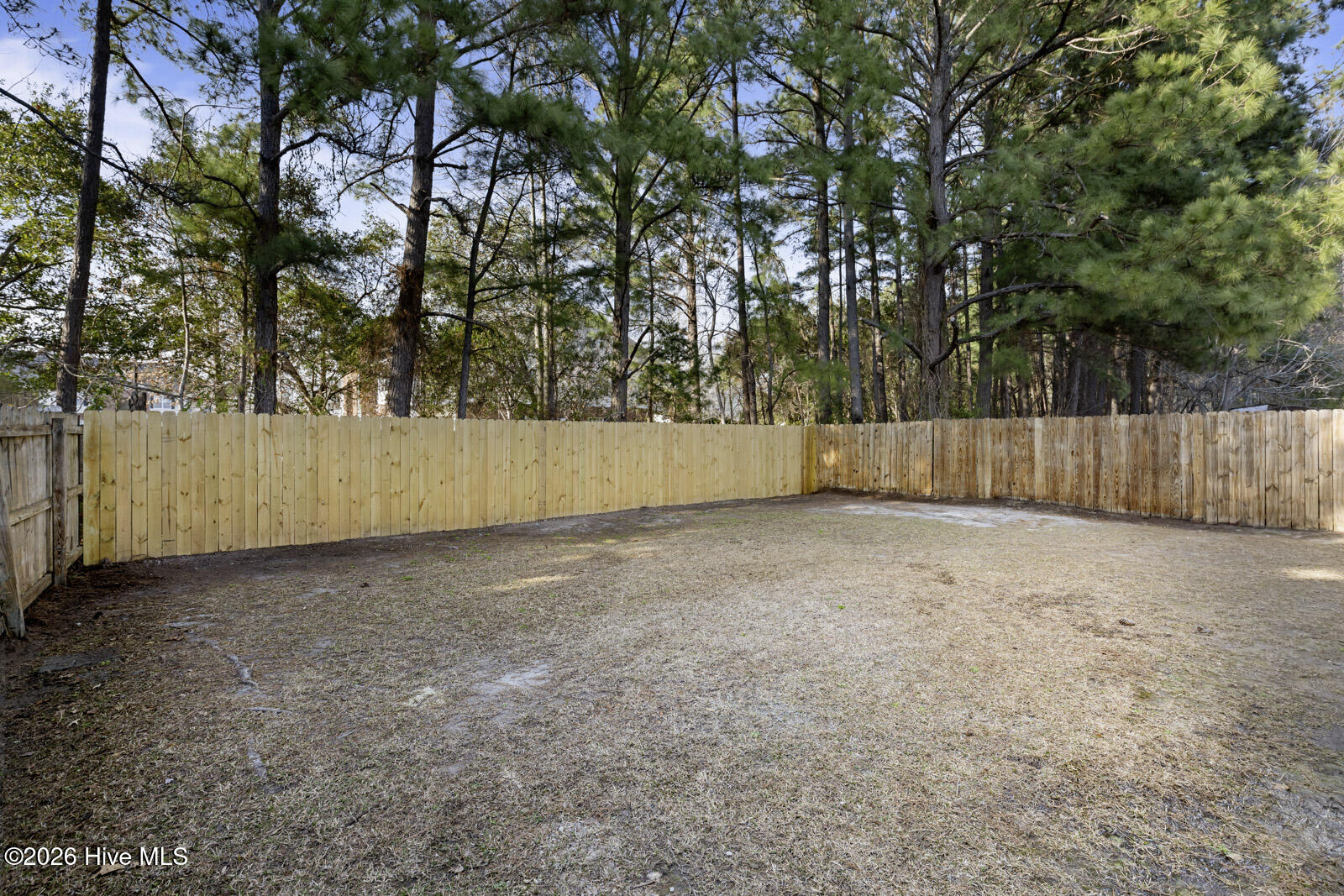 100559065 | Photo 36