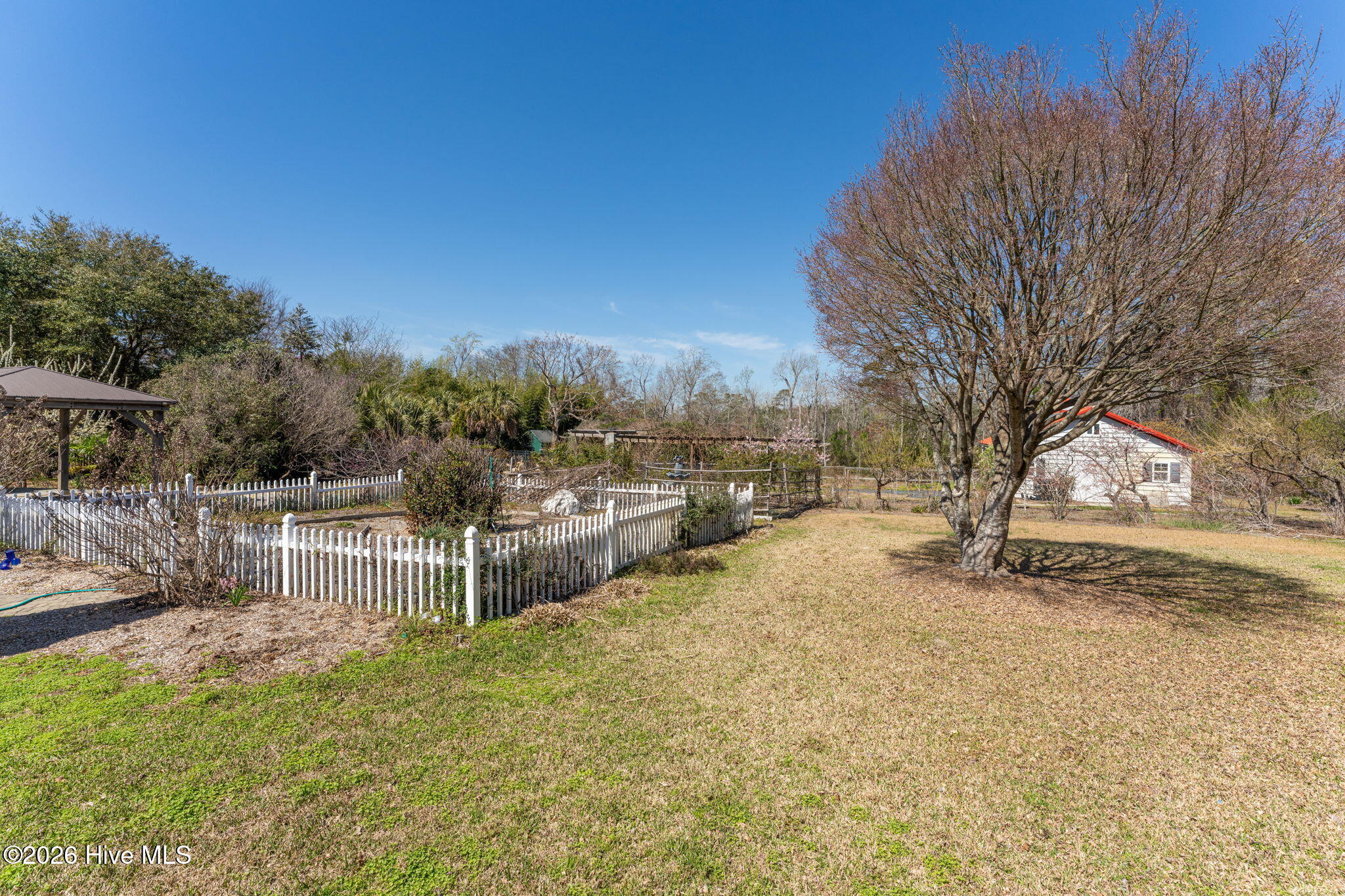 100552056 | Photo 69