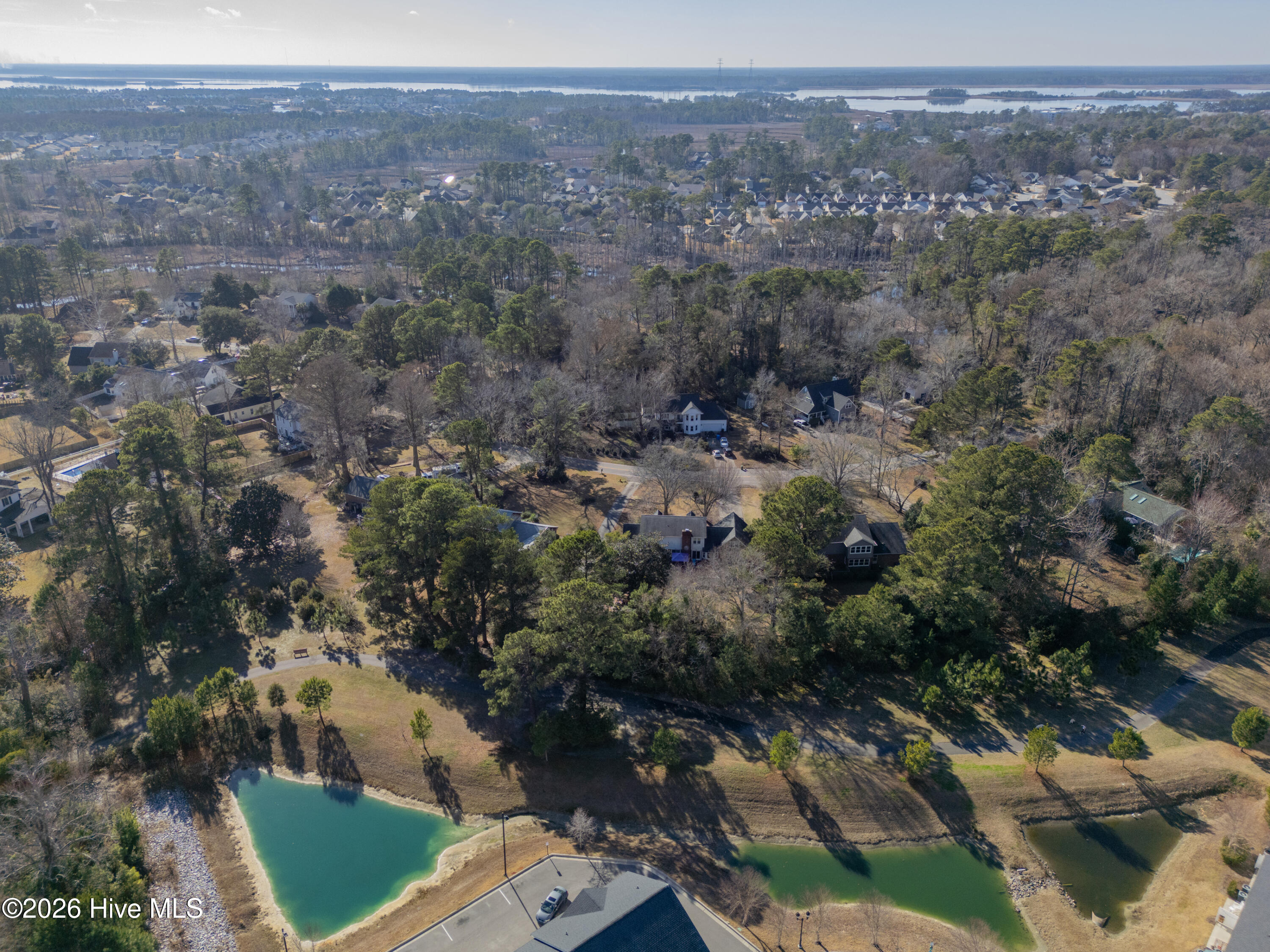 100550839 | Photo 62