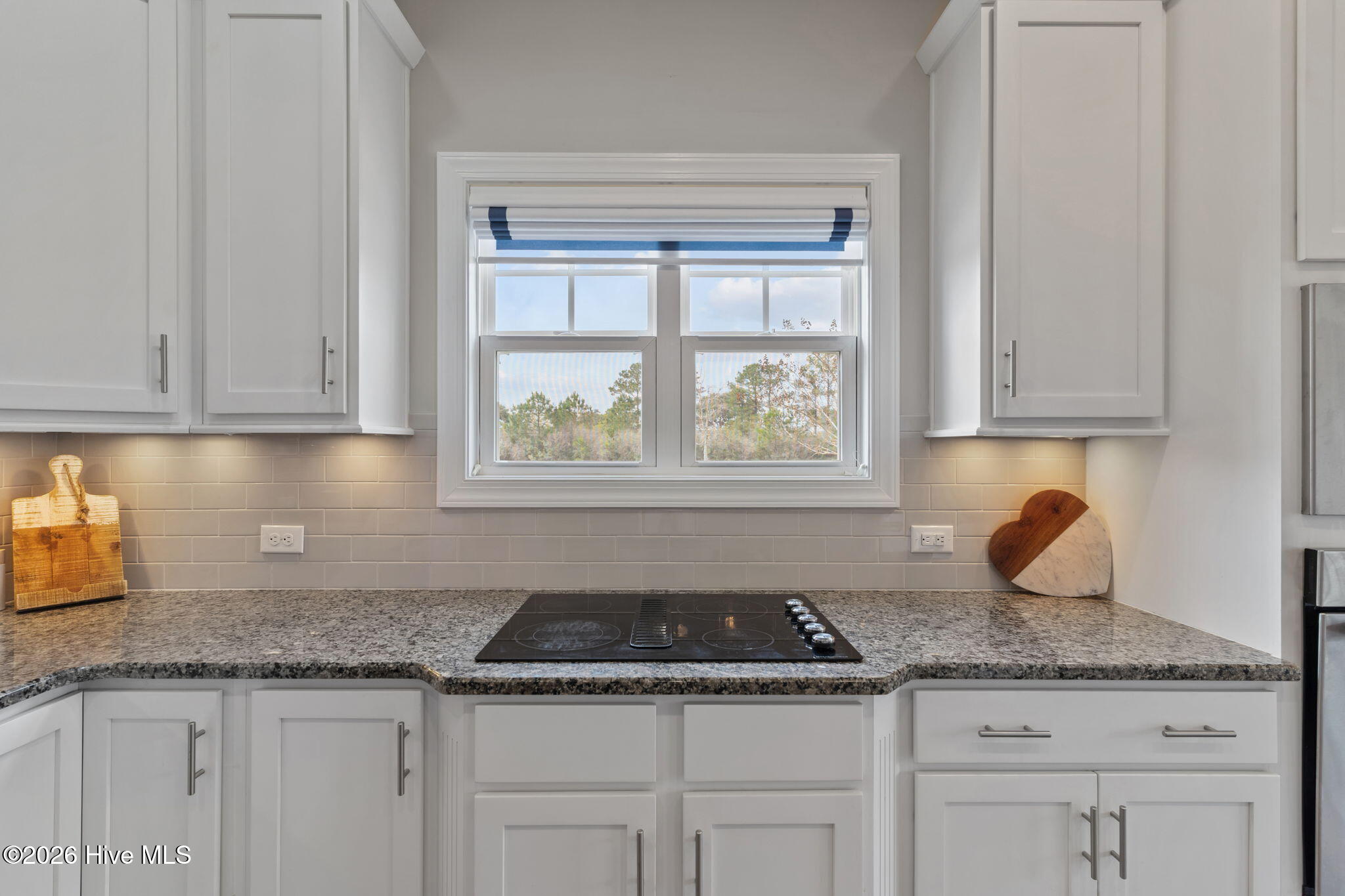 100560533 | Photo 12