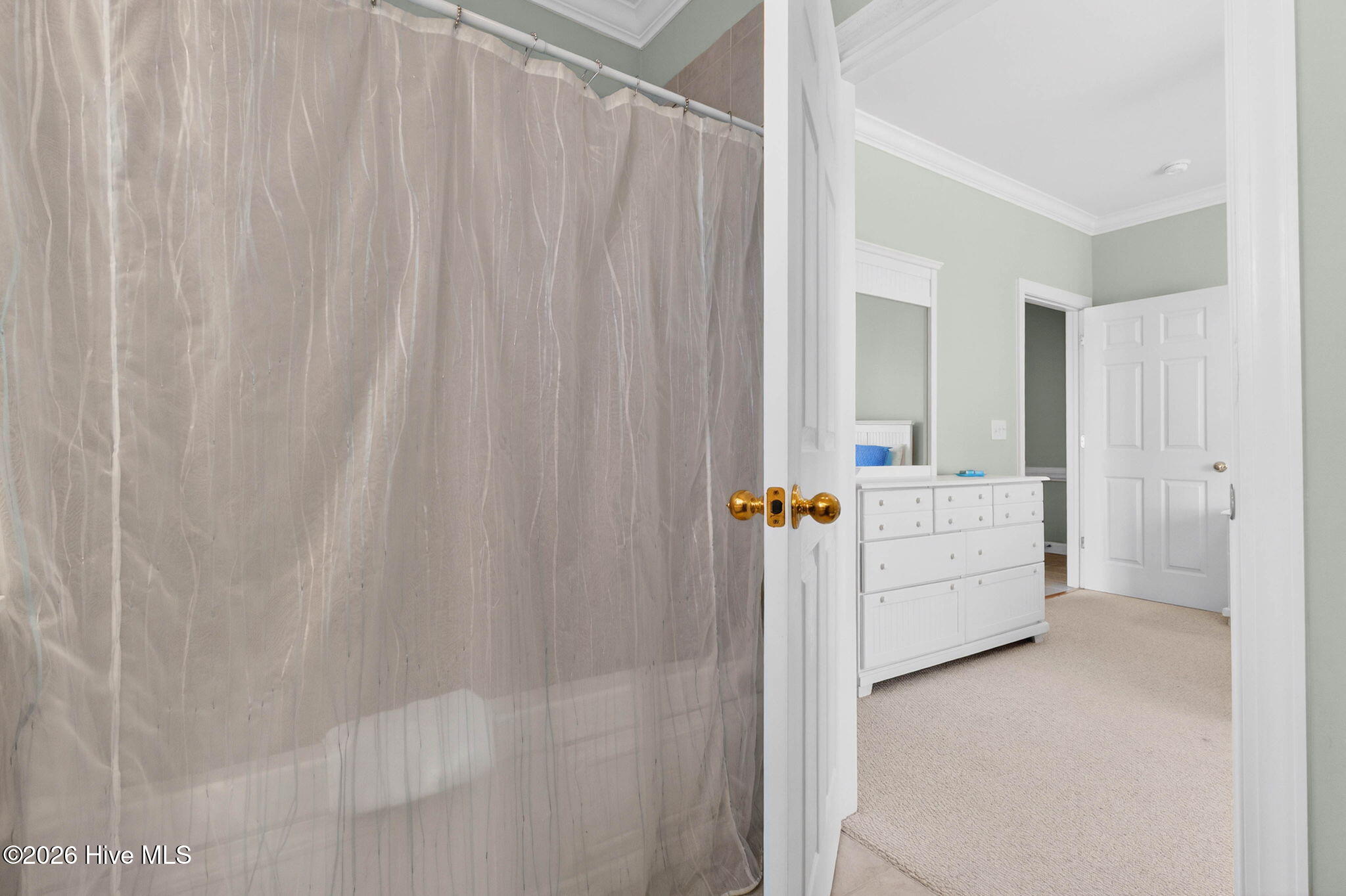 100555229 | Photo 17