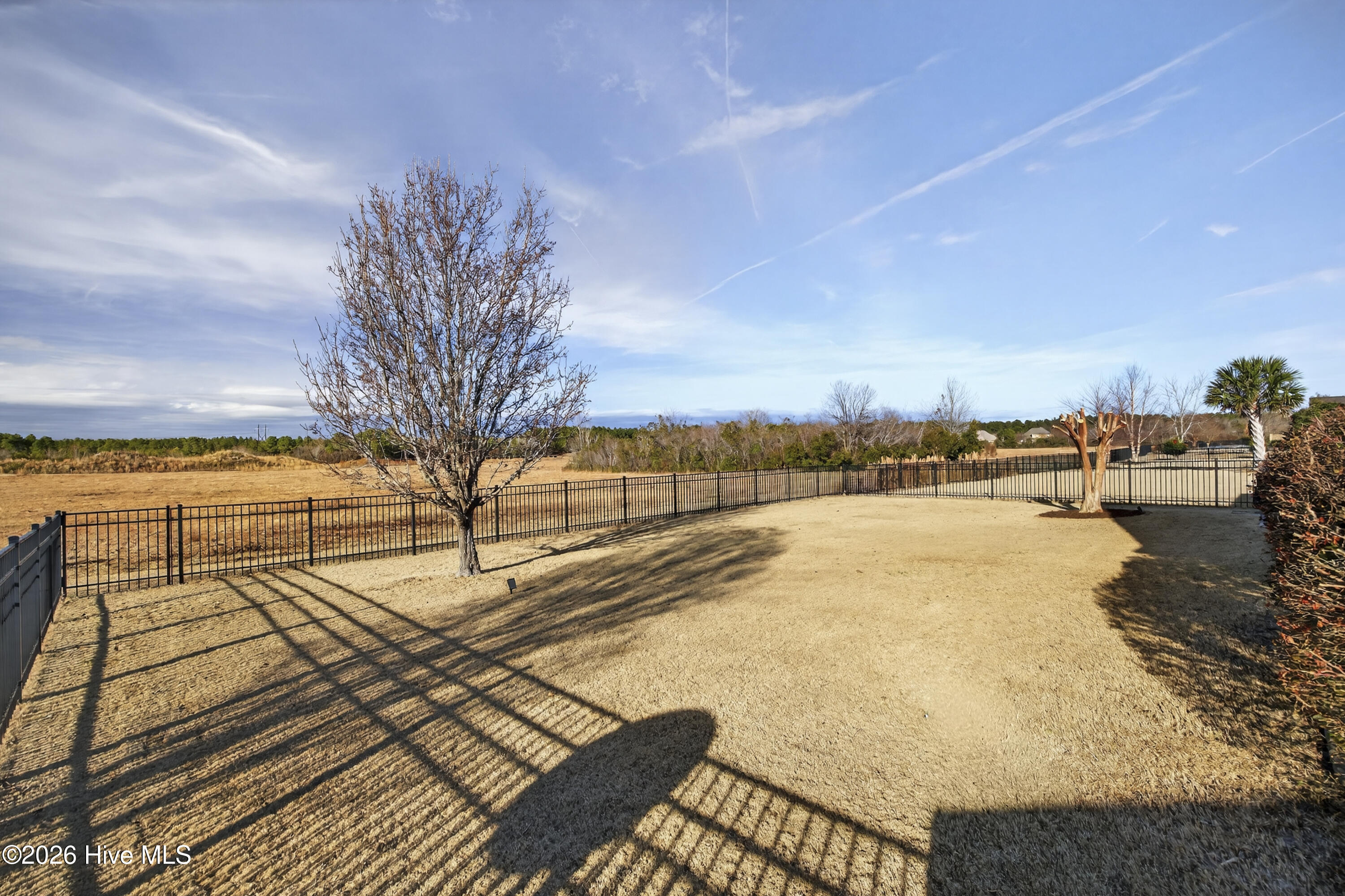 100550838 | Photo 49