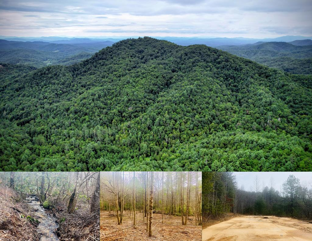 0 Flea Mountain, Murphy, North Carolina, 0 ,For sale,Flea Mountain,98544041 0 Flea Mountain, Murphy, North Carolina, 0 ,For sale,Flea Mountain,98544041