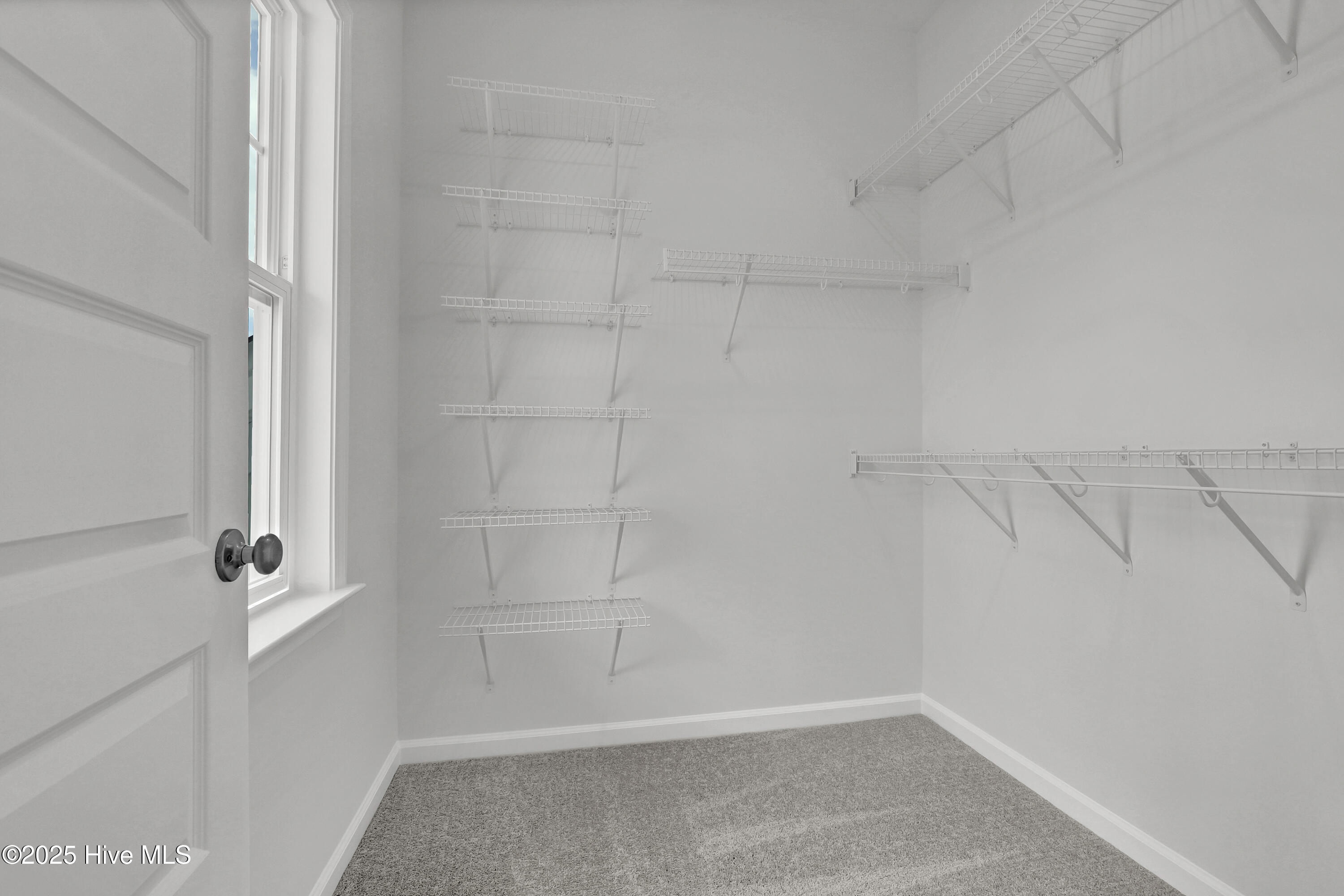 100518189 | Photo 17