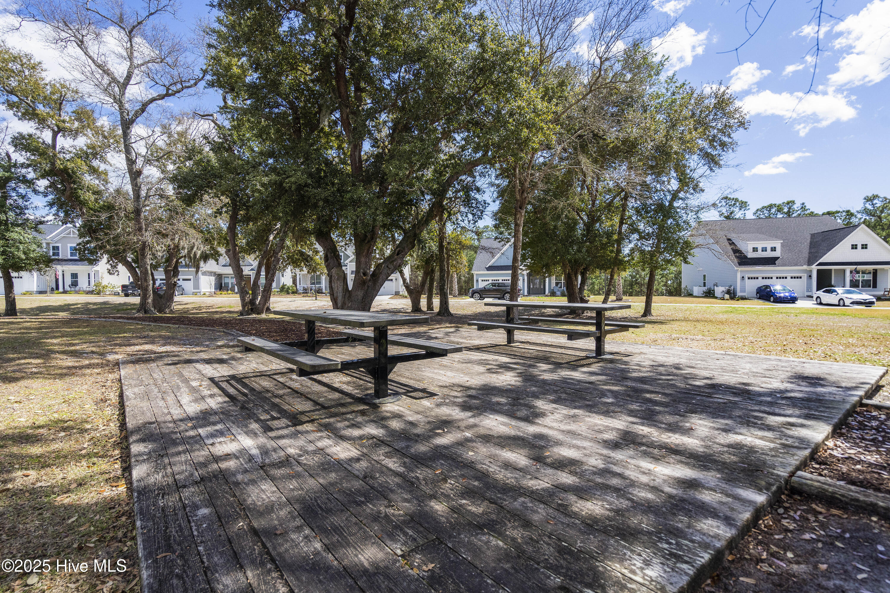 100524767 | Photo 97