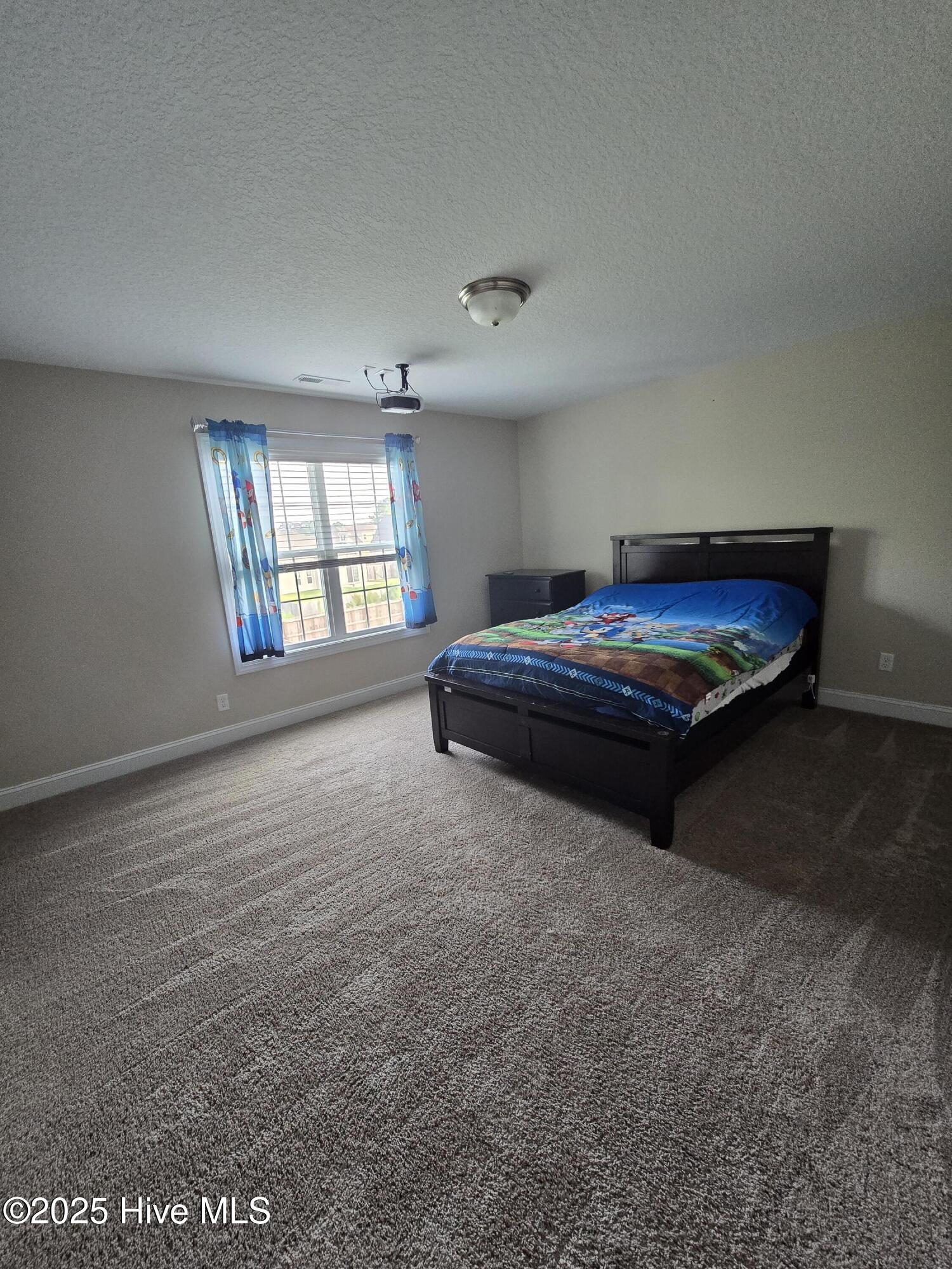 100546217 | Photo 11