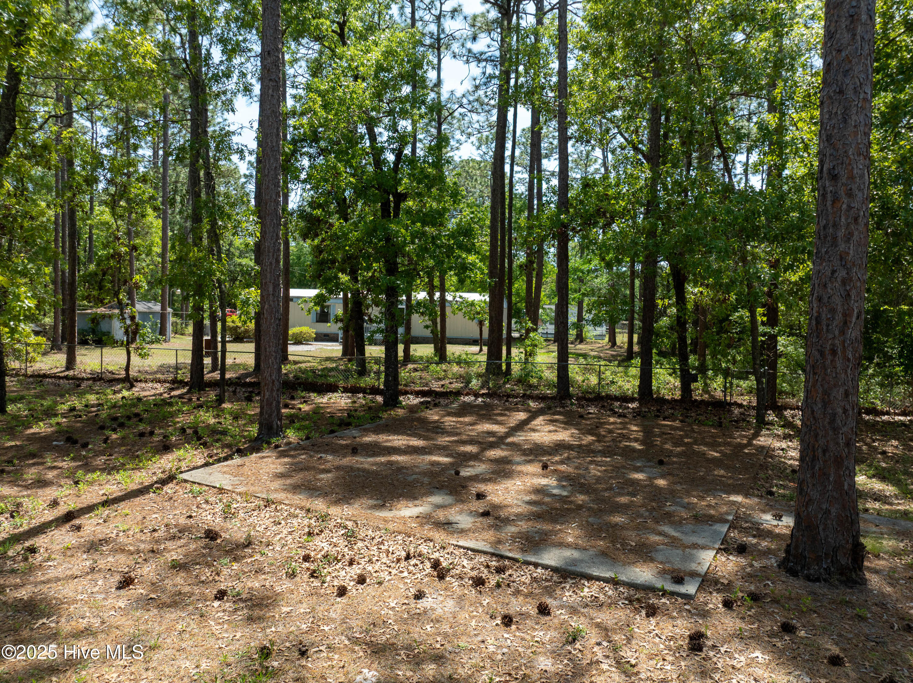 100540906 | Photo 31