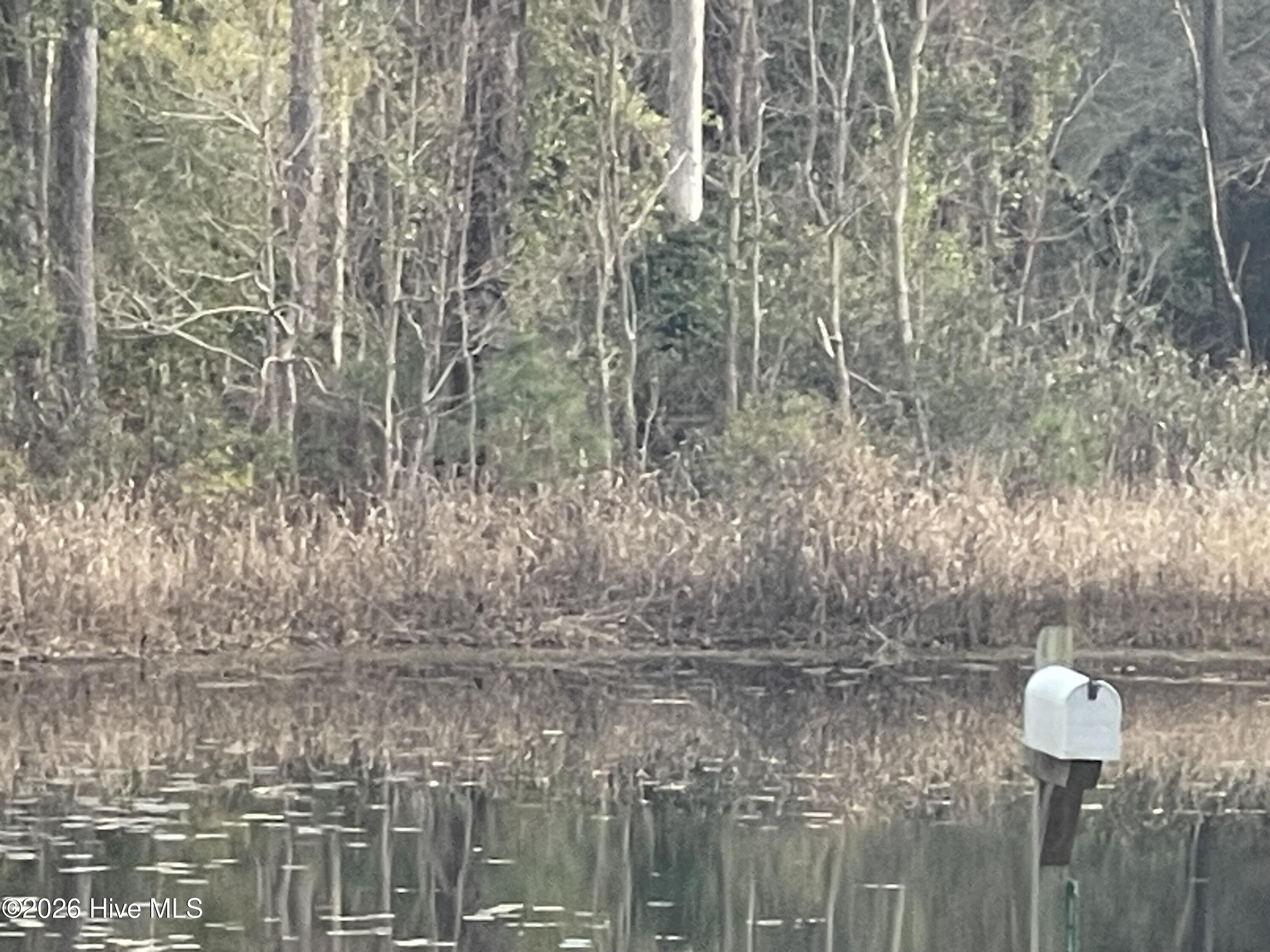 100548174 | Photo 29